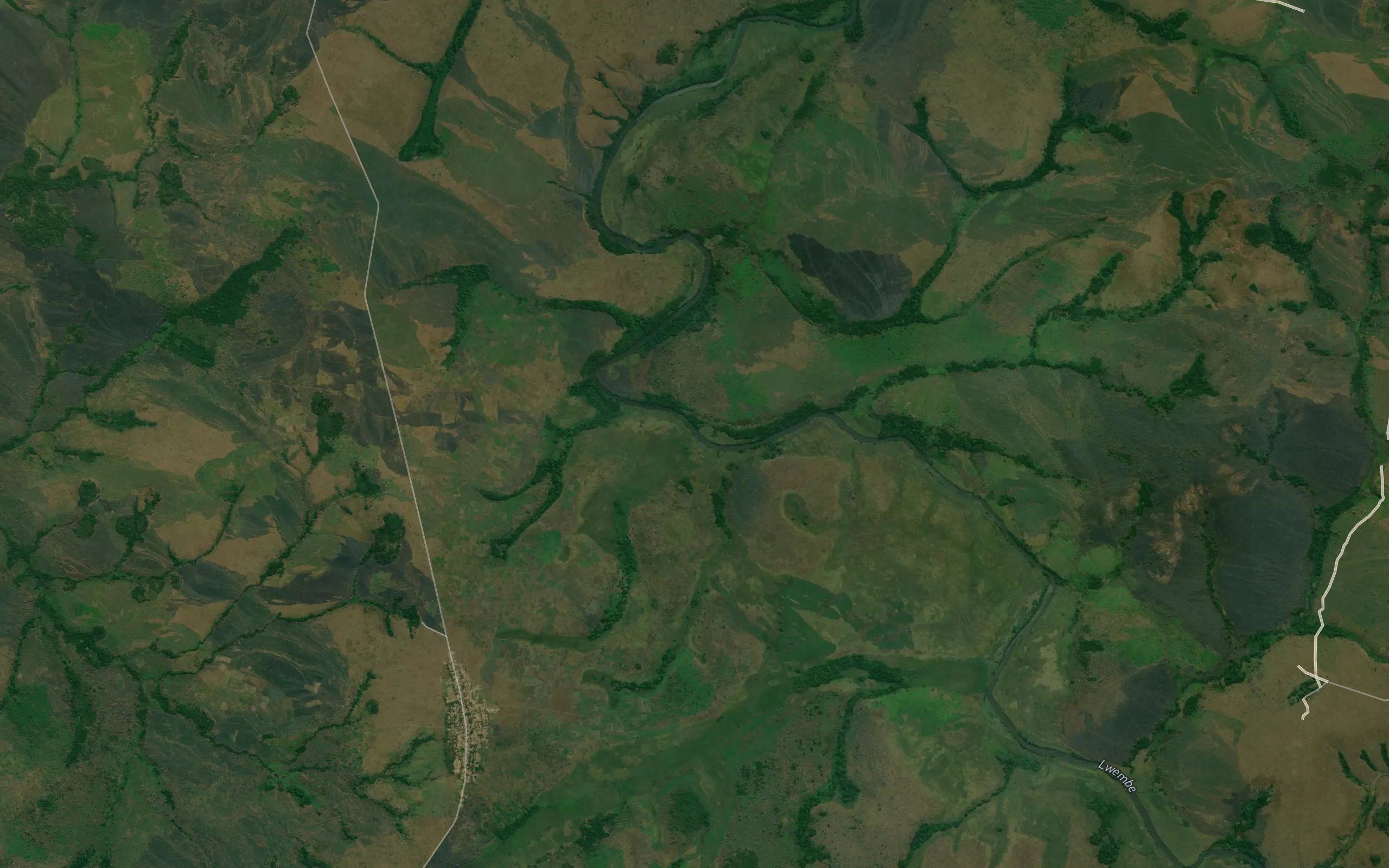 Tshikusa