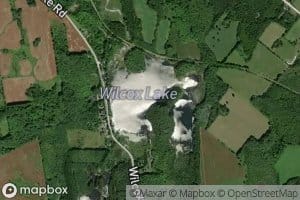 Wilcox Lake