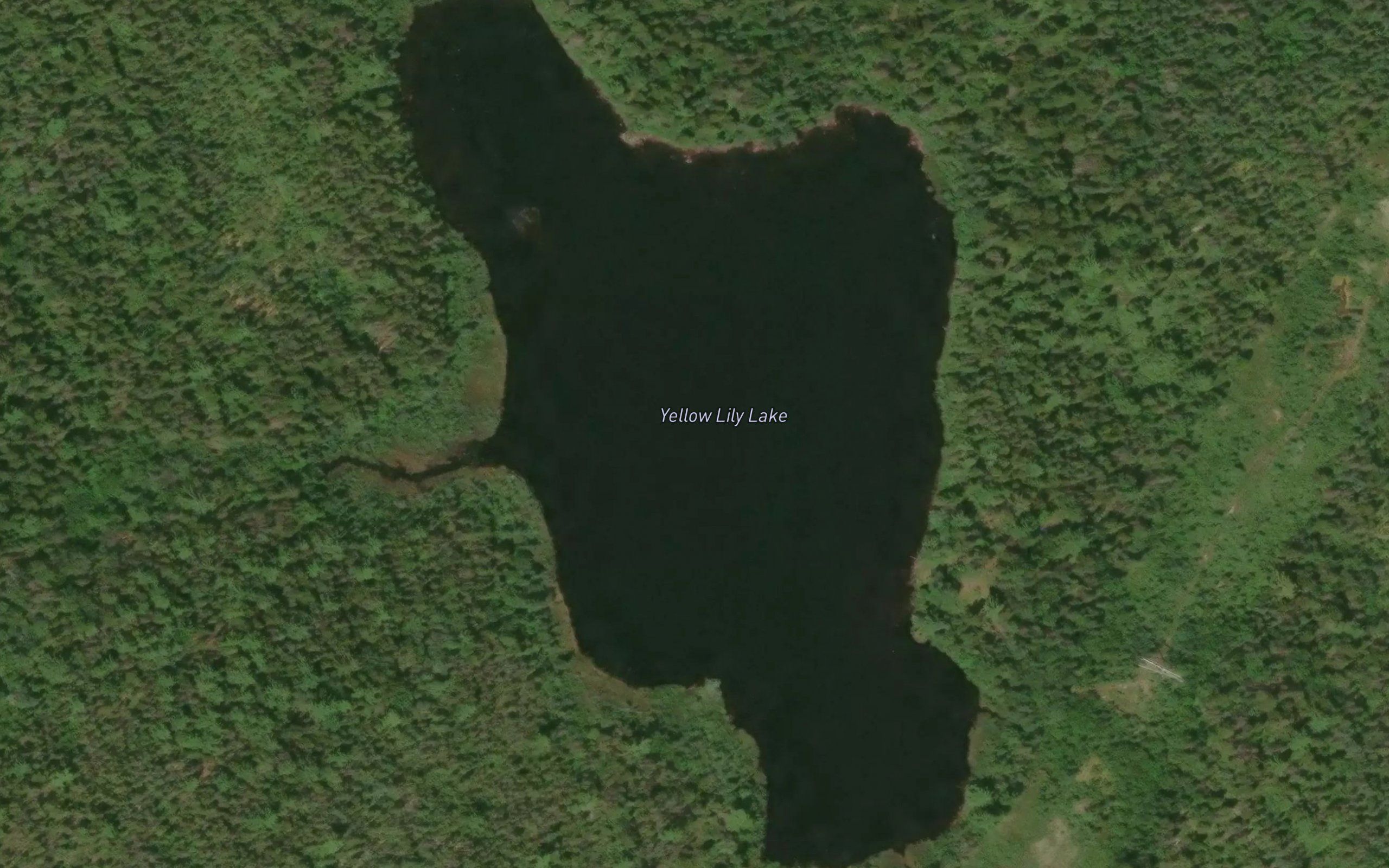Yellow Lily Lake