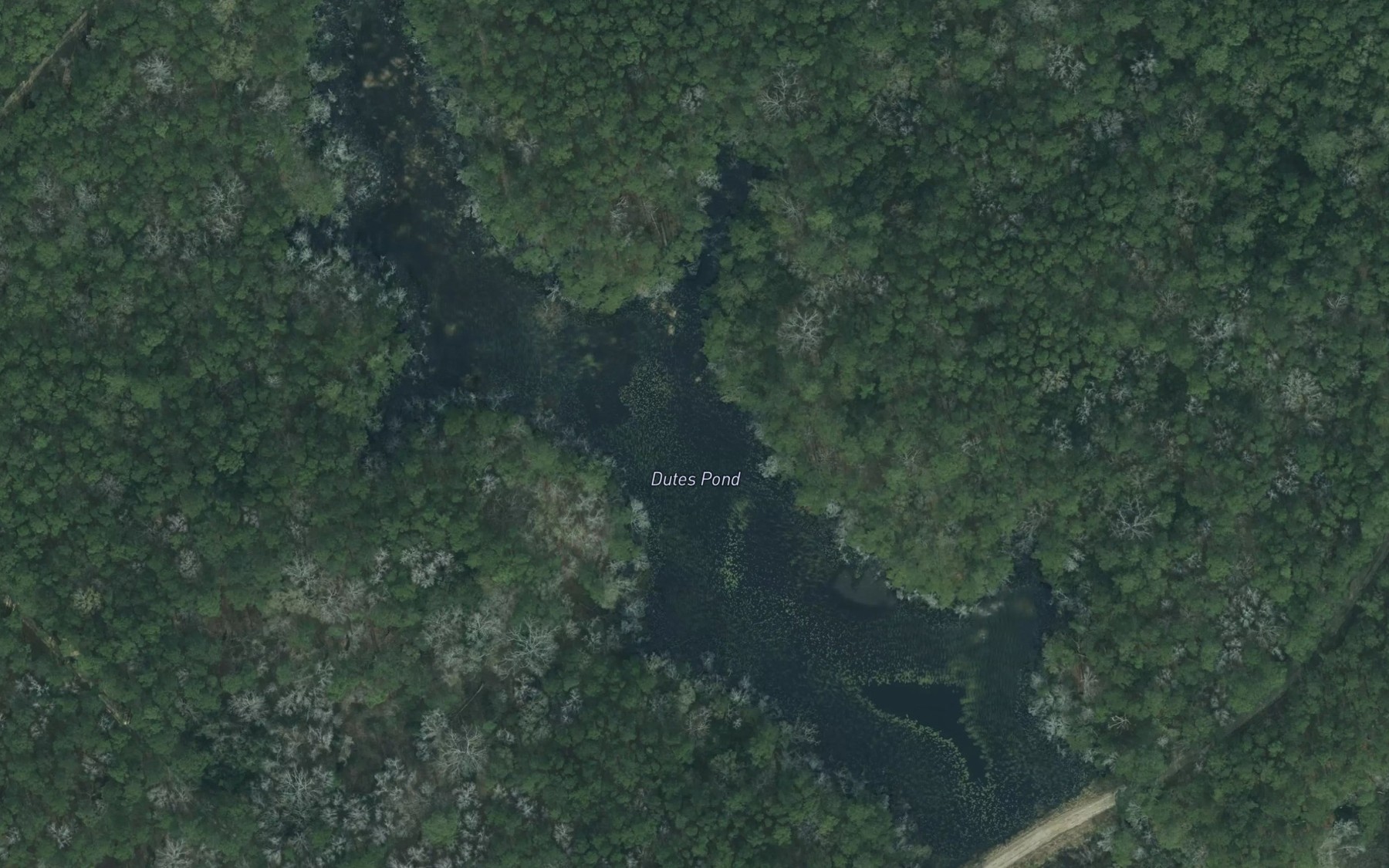 Satellite map of the Dutes Pond