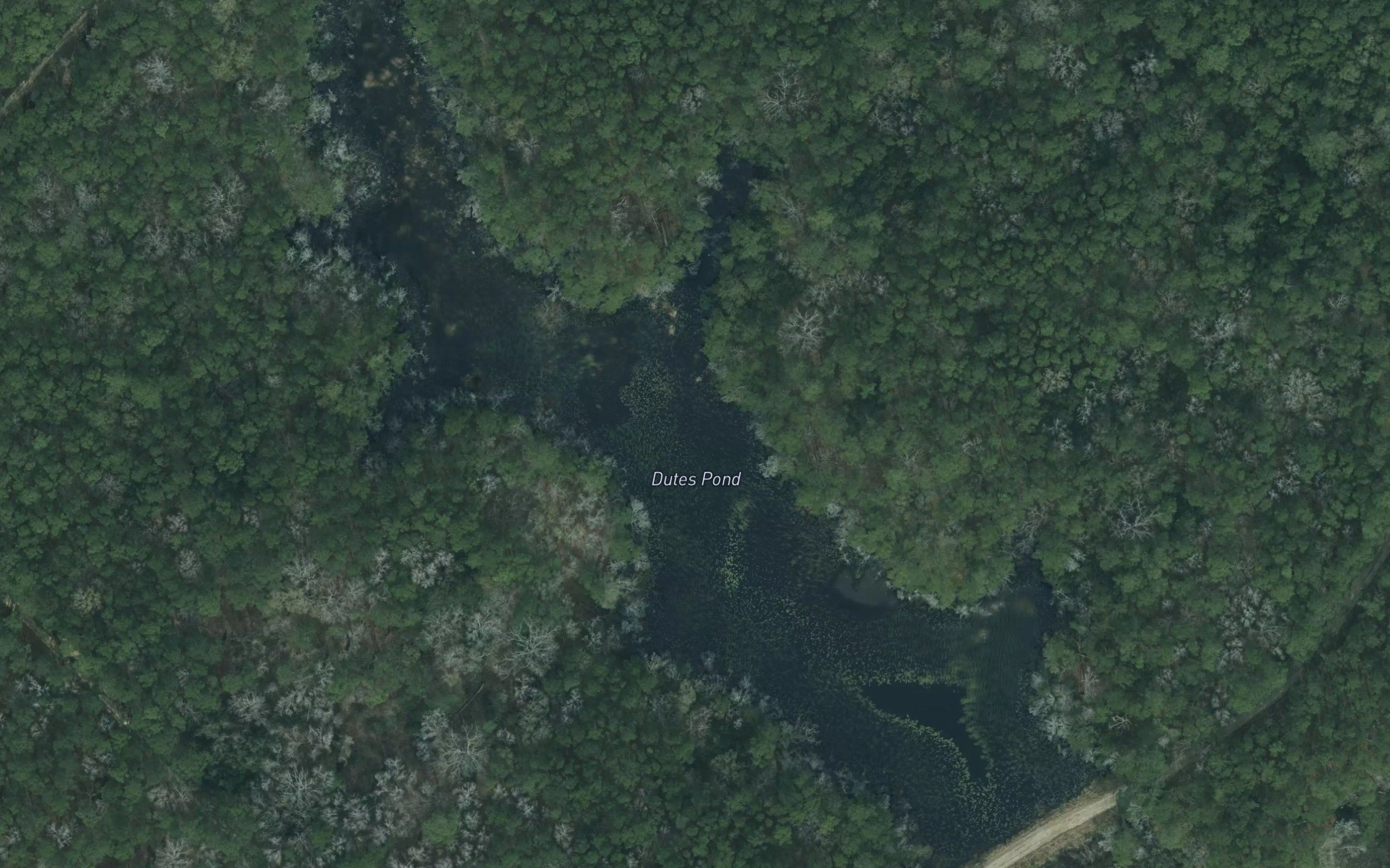 Dutes Pond