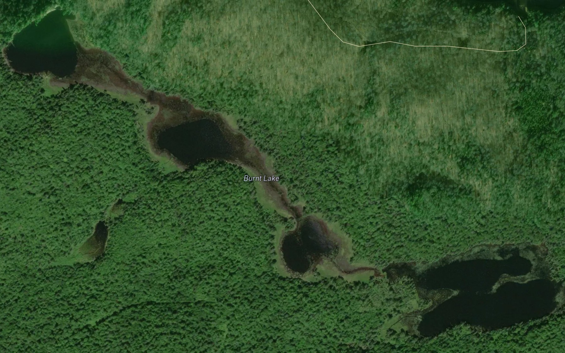 Satellite map of the Burnt Lake