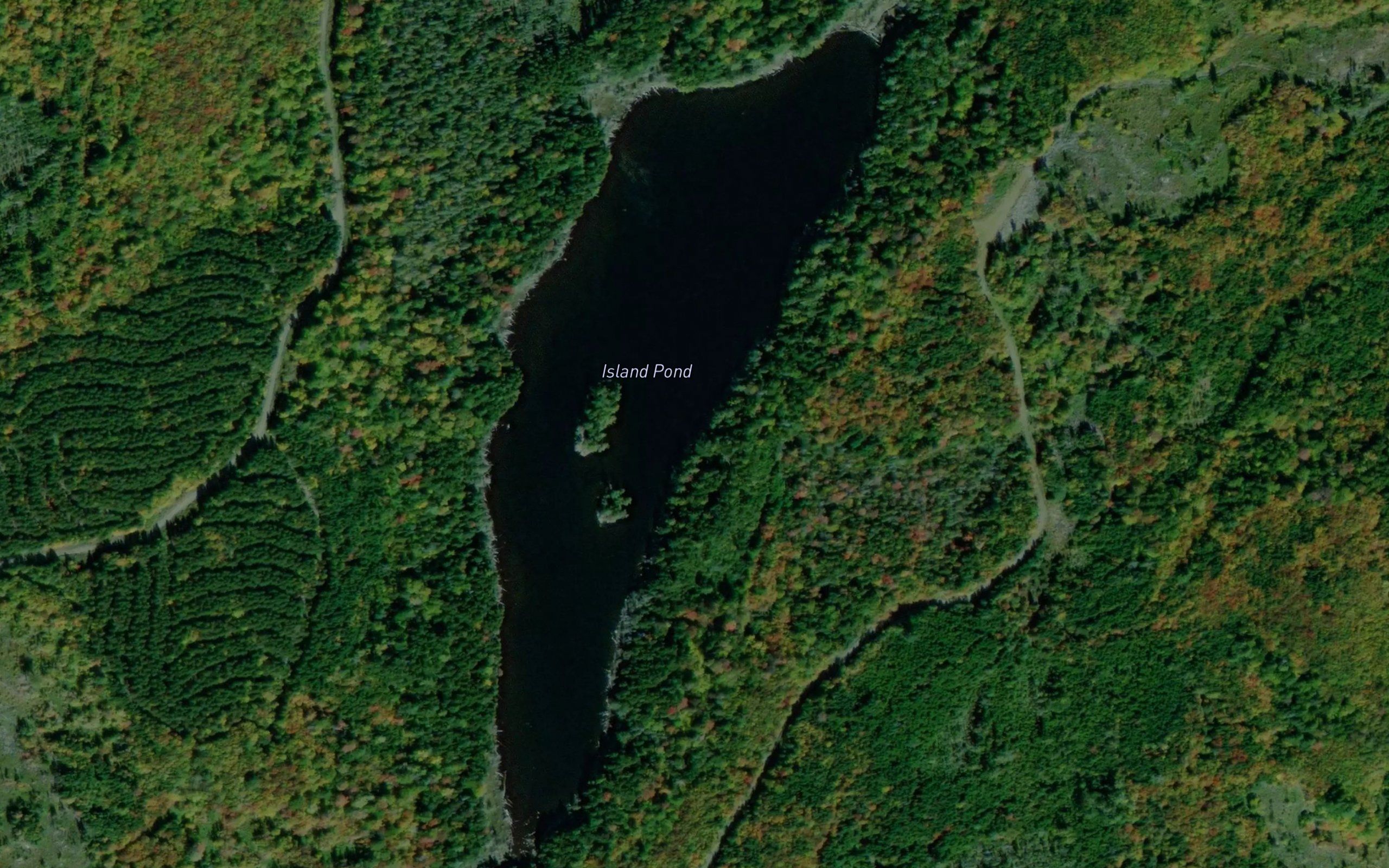 Island Pond