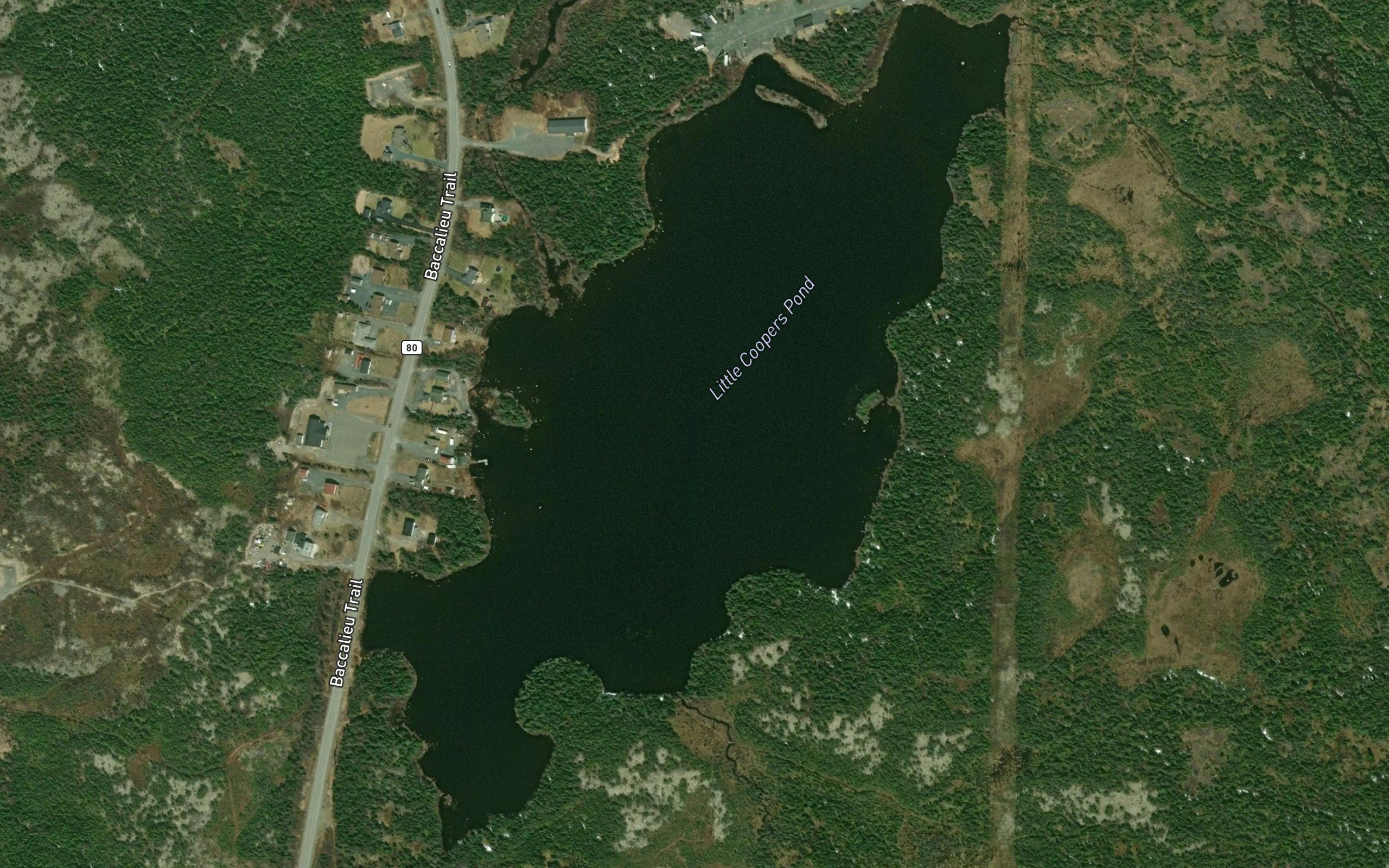 Little Coopers Pond
