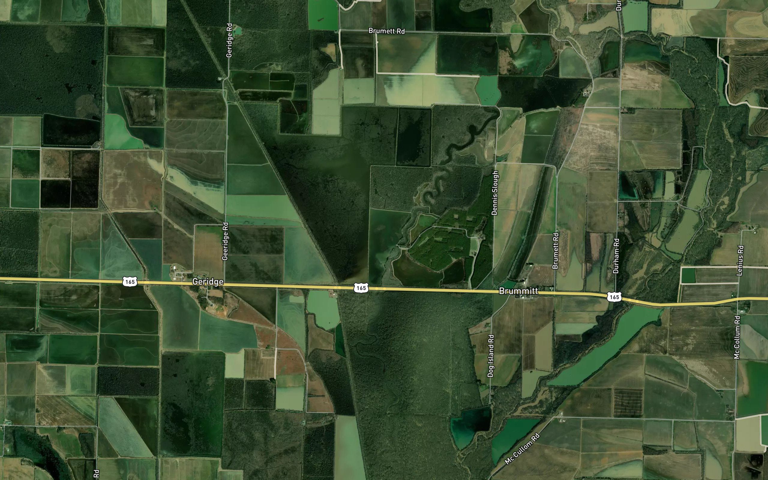 Buffalo Slough