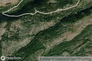 Tamarack Springs