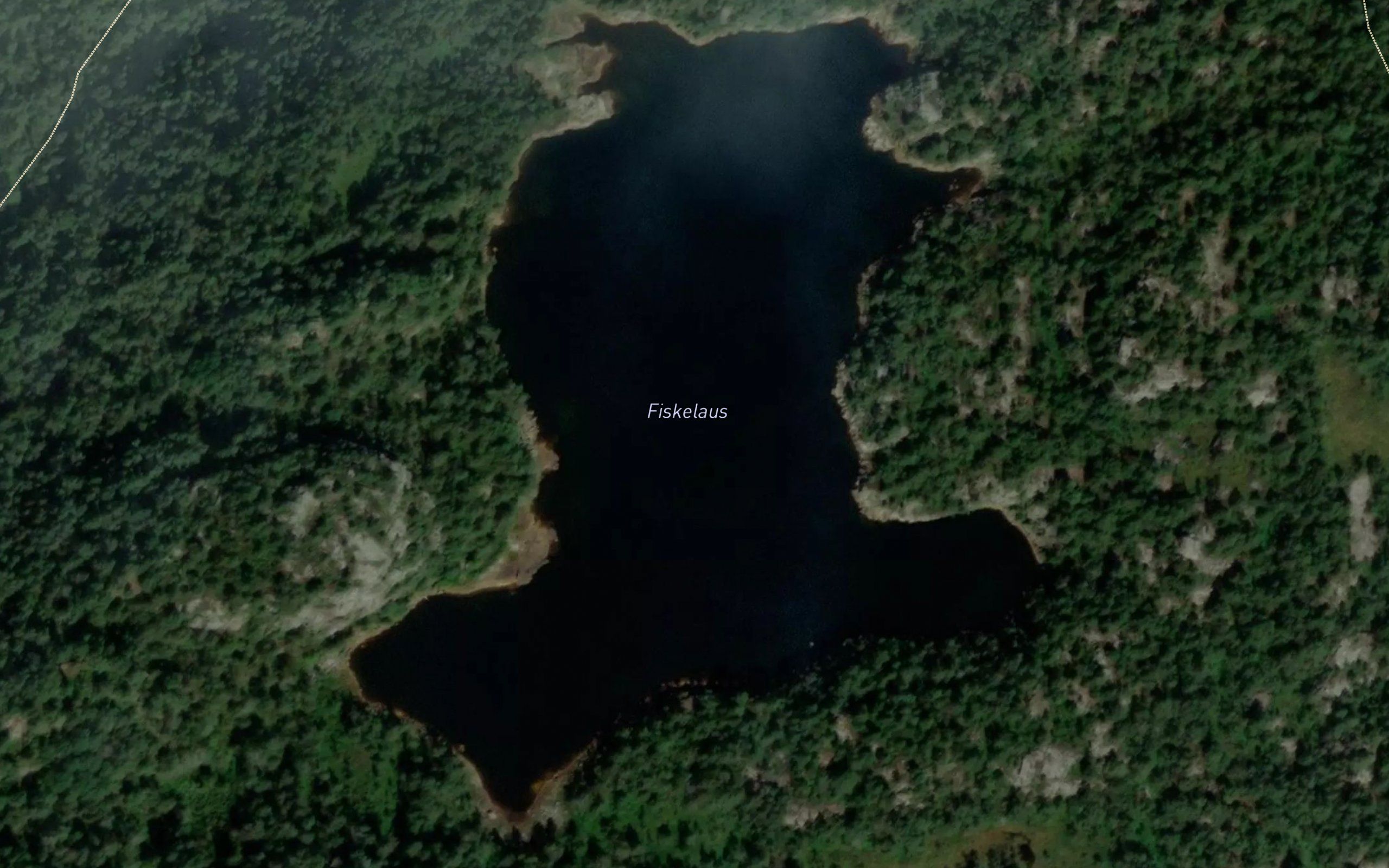Fiskelausvann