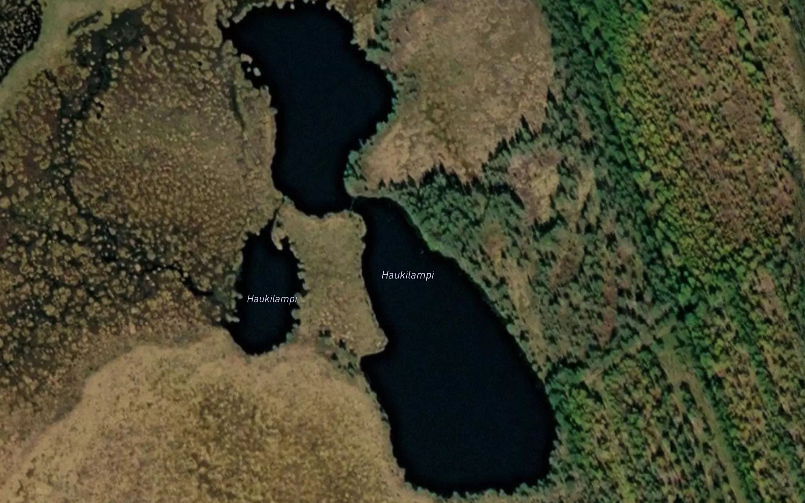 Haukilampi