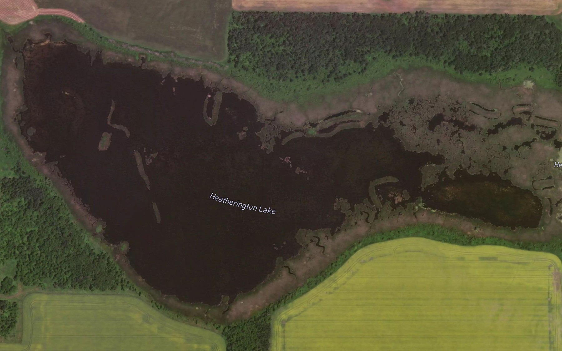 Satellite map of the Heatherington Lake