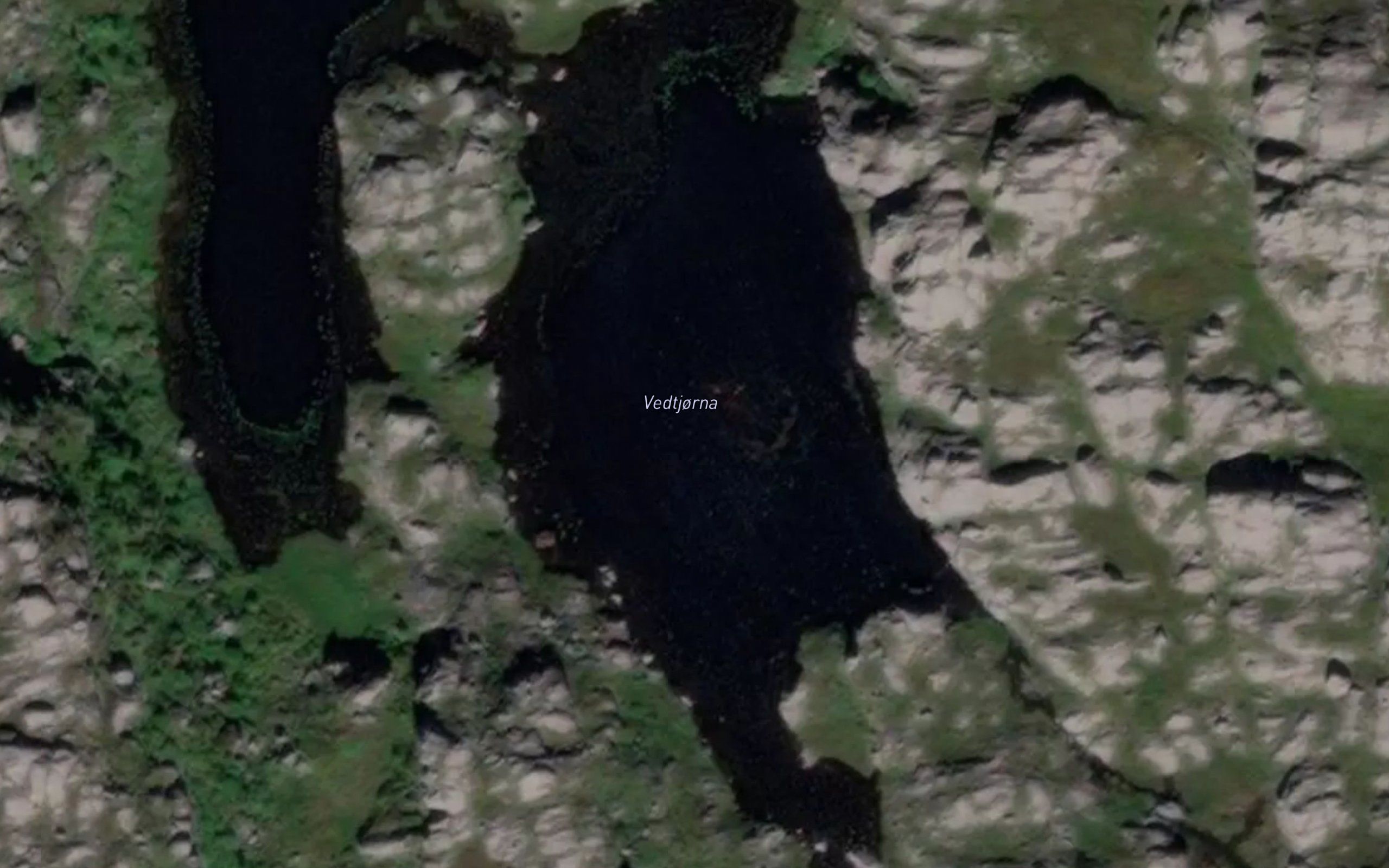 Vedtjorna