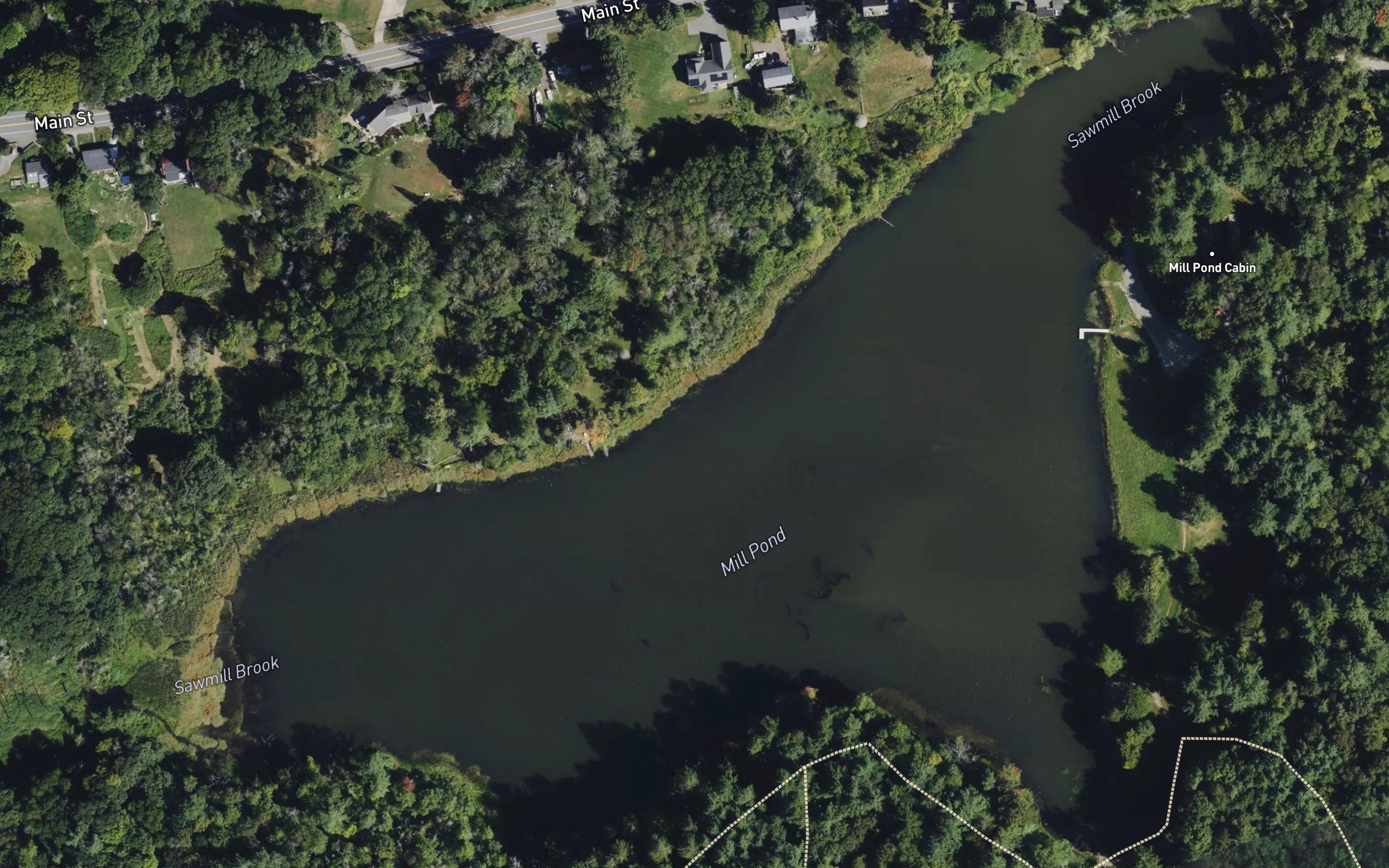 Mill Pond