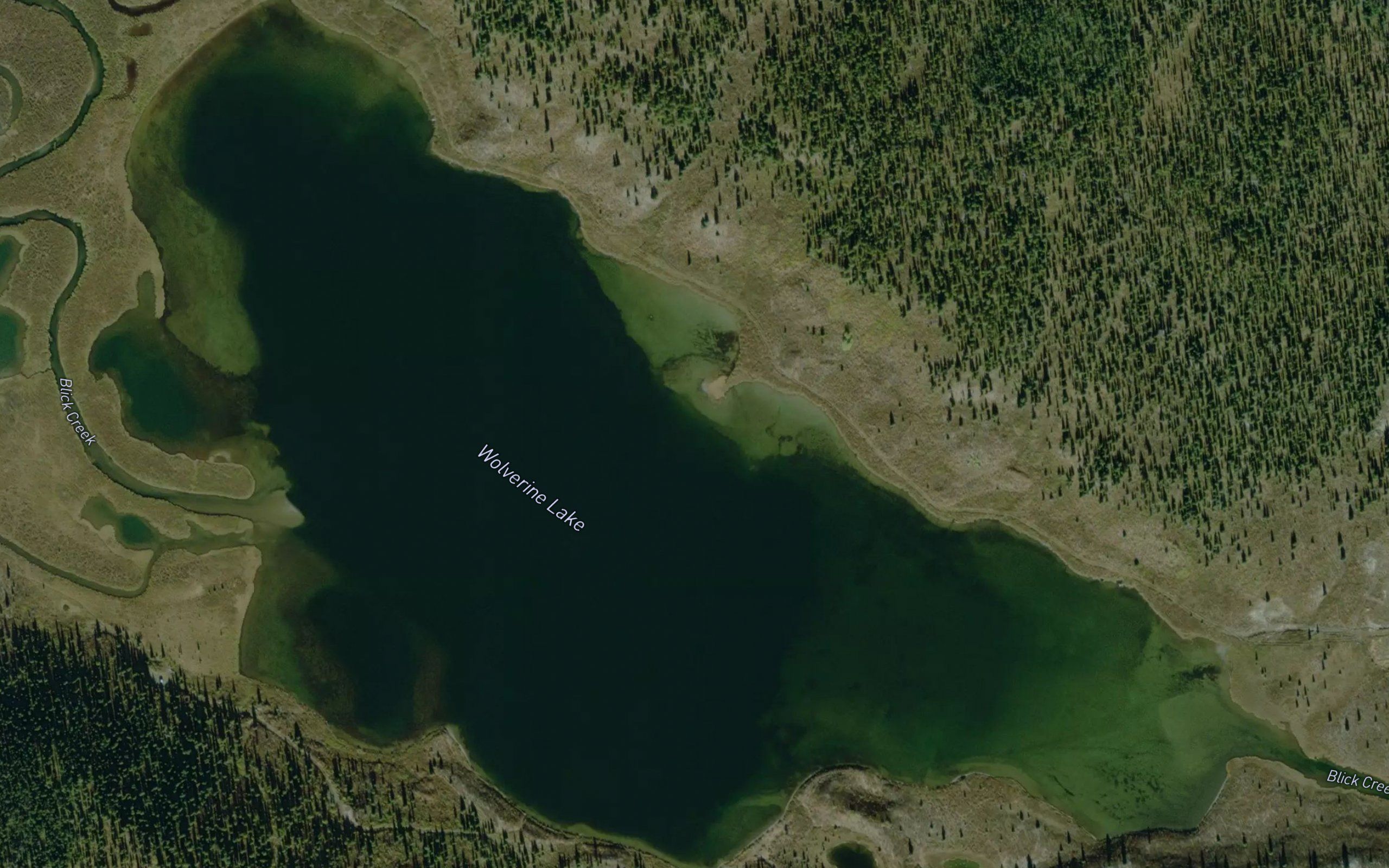 Wolverine Lake