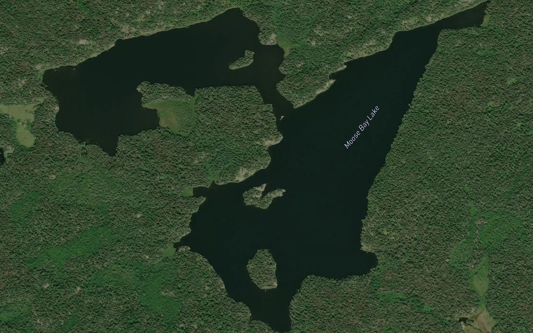 Satellite map of the Moose Bay Lake