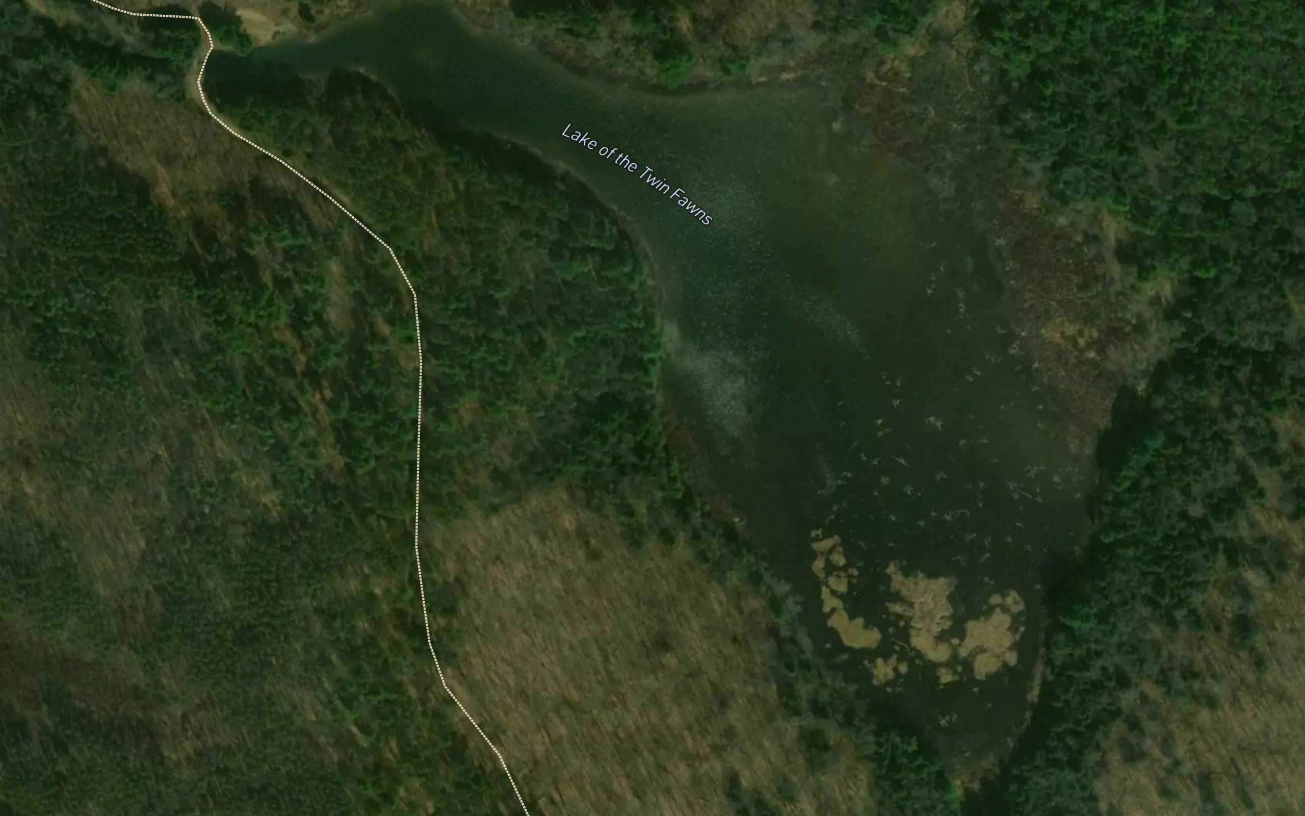 Lake of the Twin Fawns