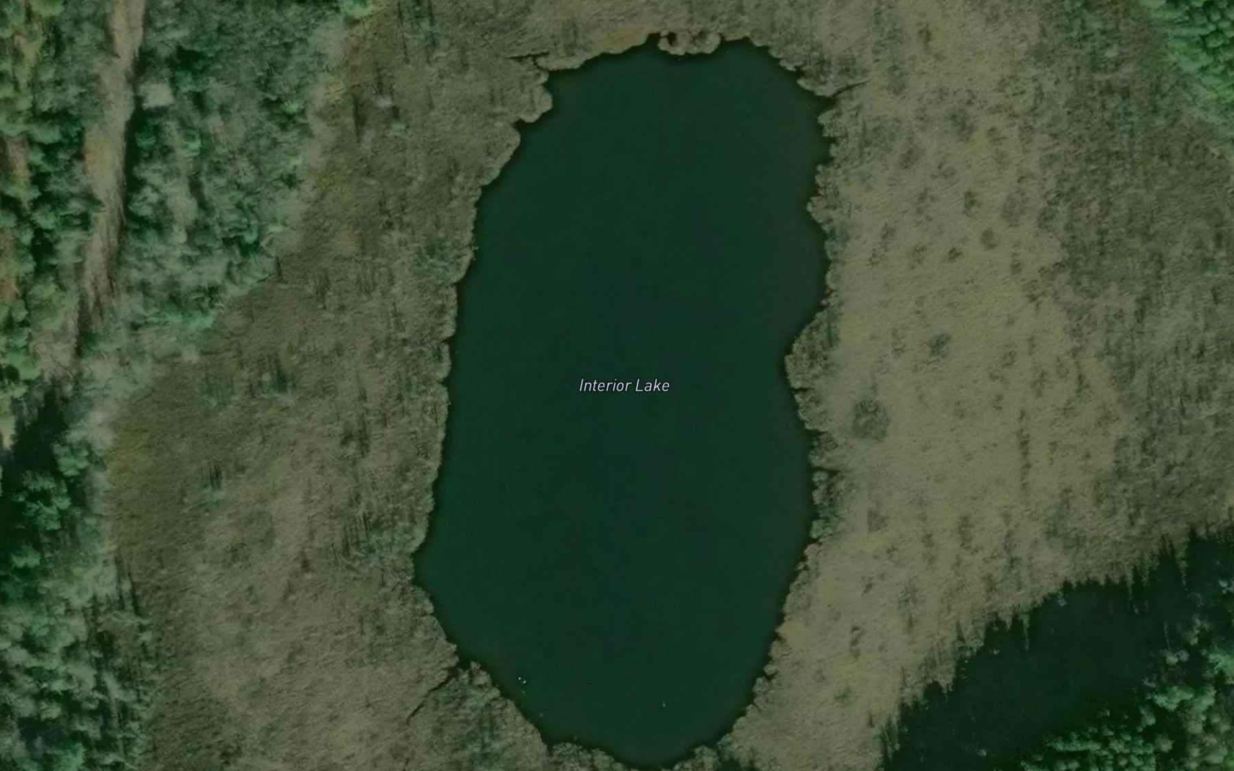 Satellite map of the Interior Lake