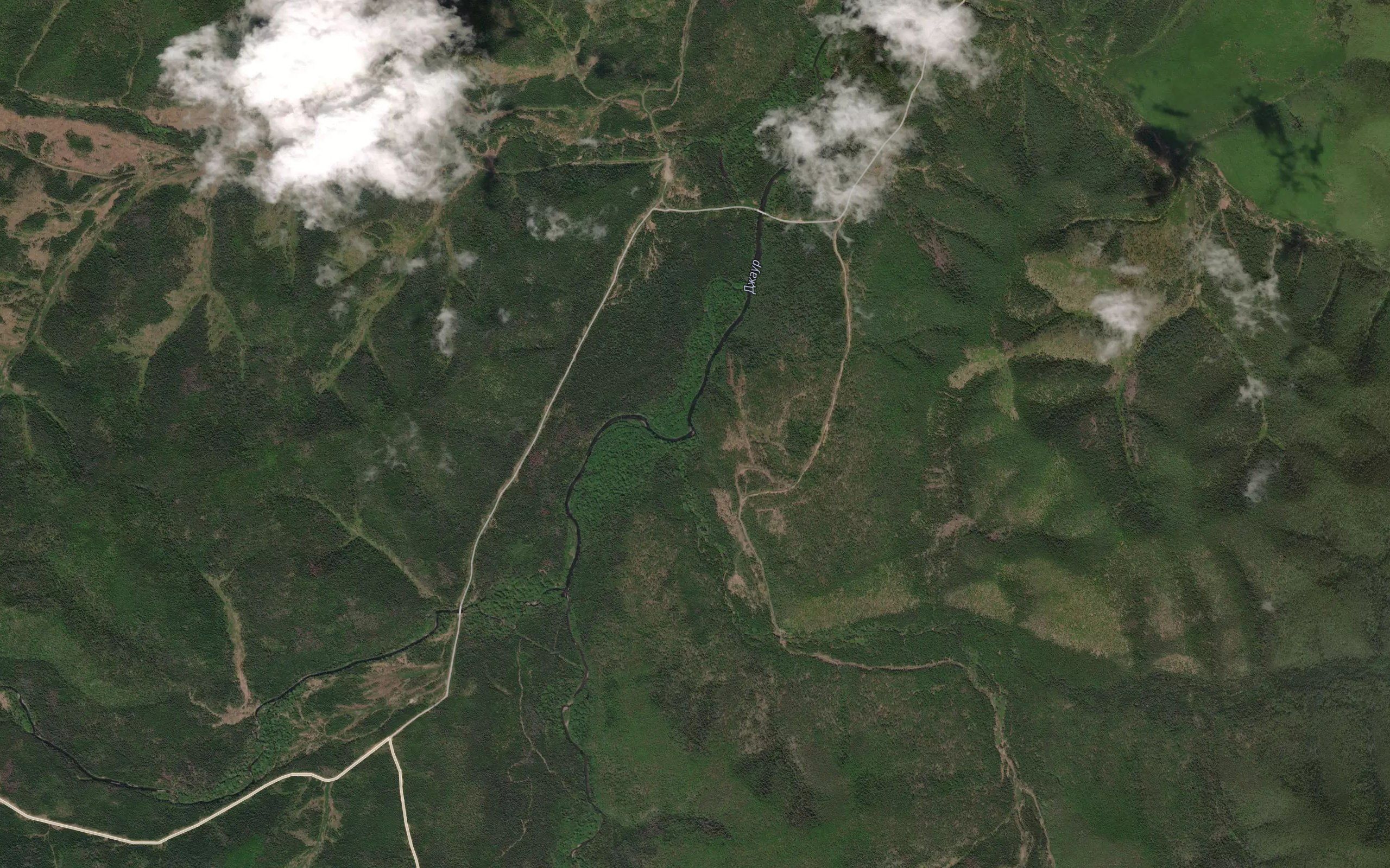 Izvilistyy