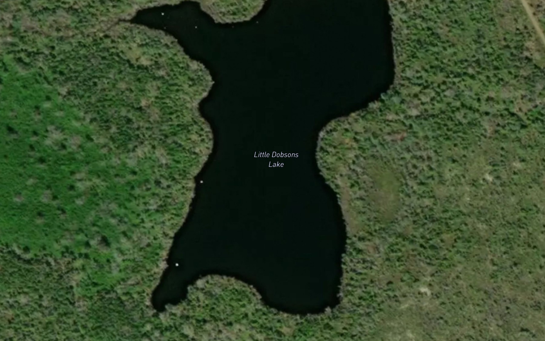 Satellite map of the Little Dobsons Lake