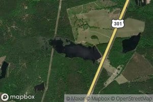 Freemam Pond