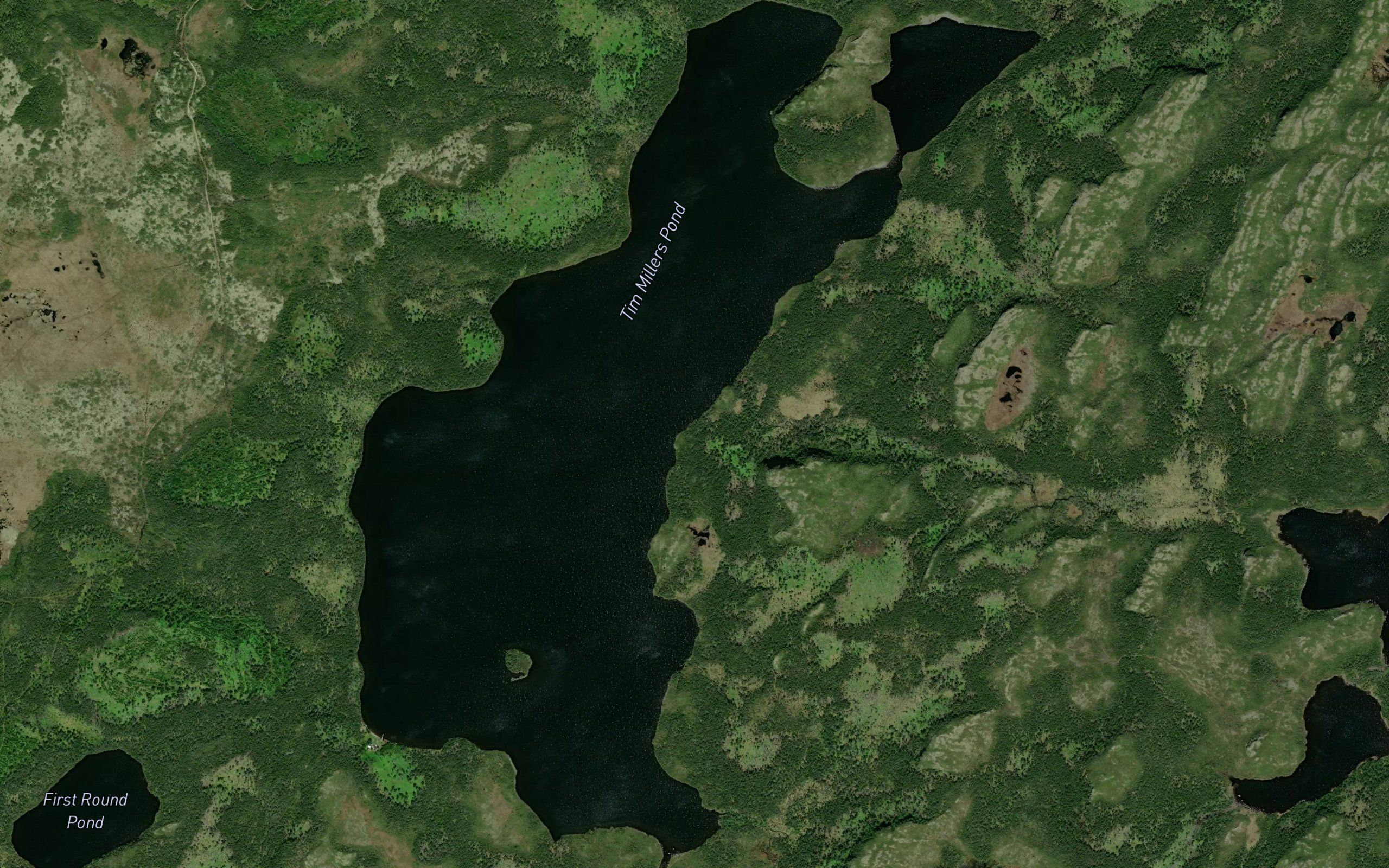 Tim Millers Pond