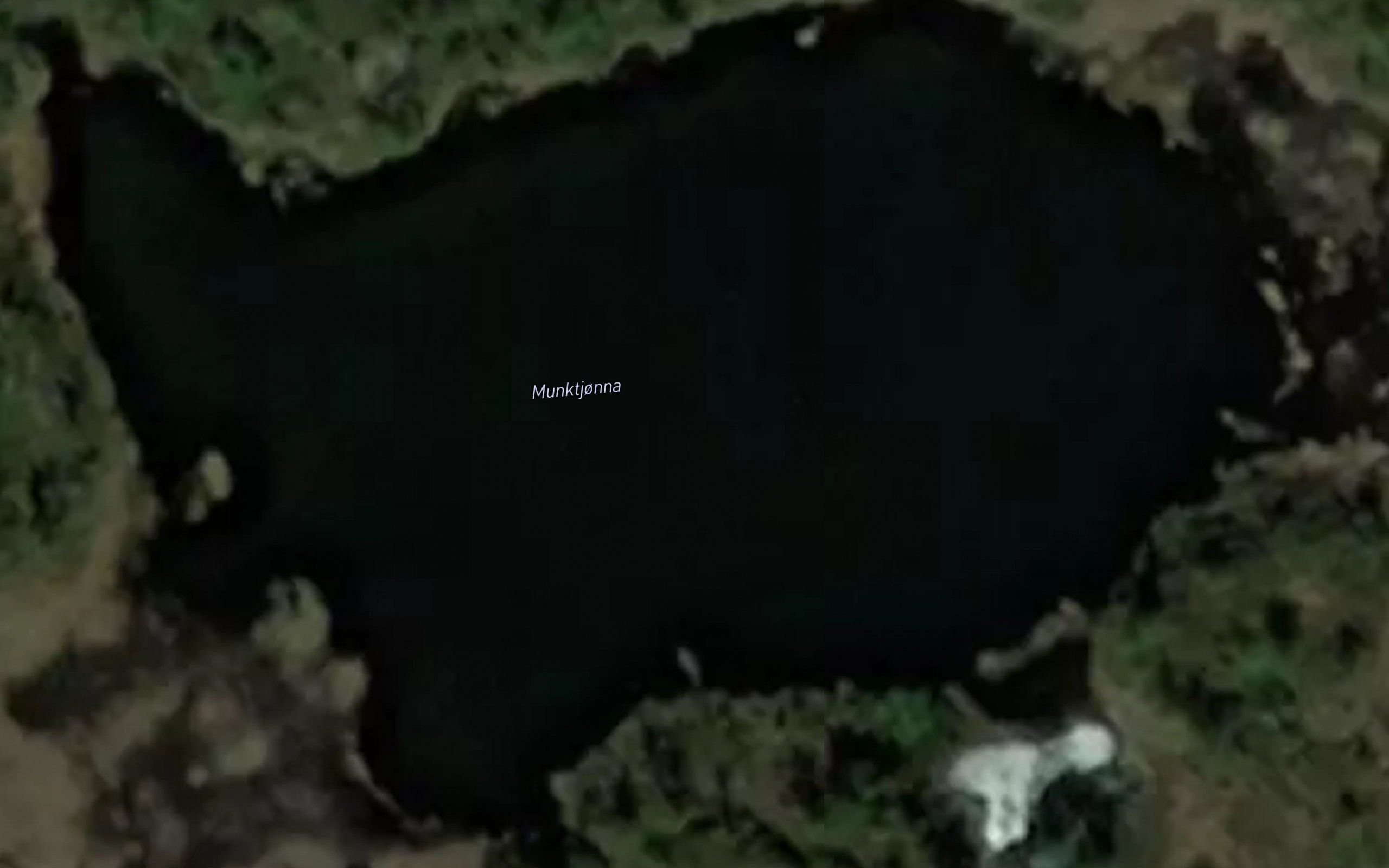 Munktjorna