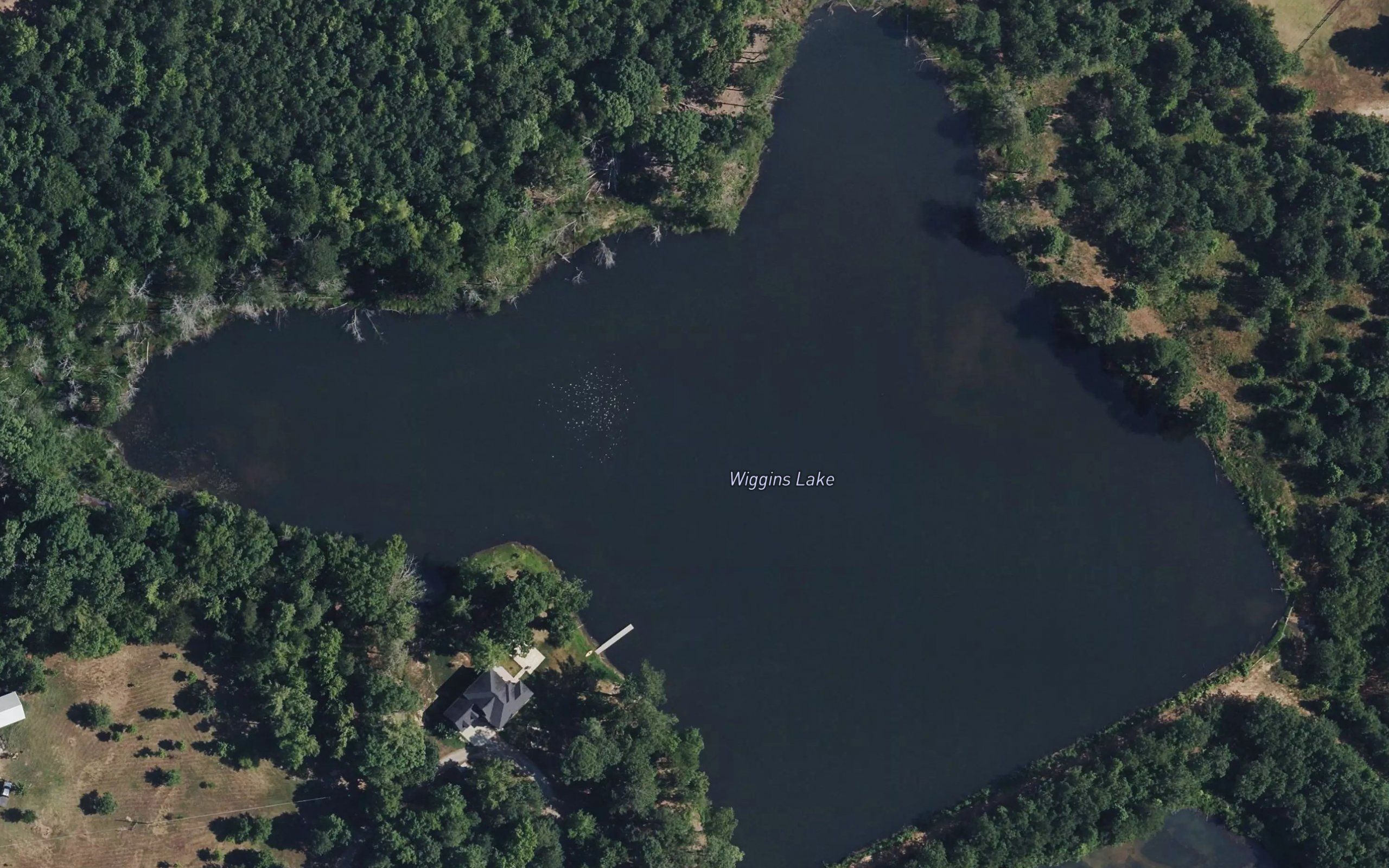 Wiggins Lake