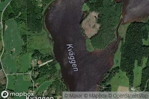 Kvaeggen