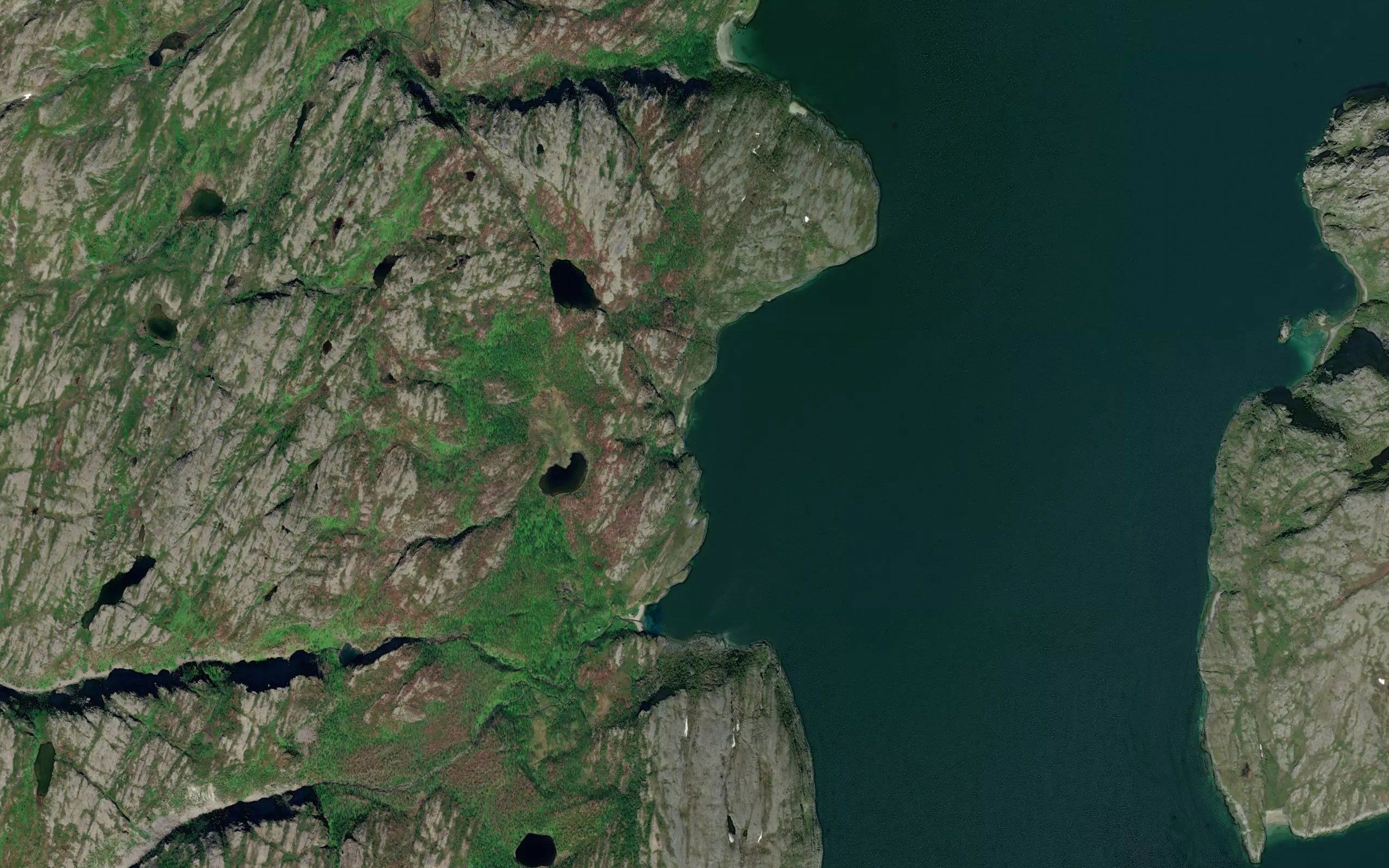 Skovika
