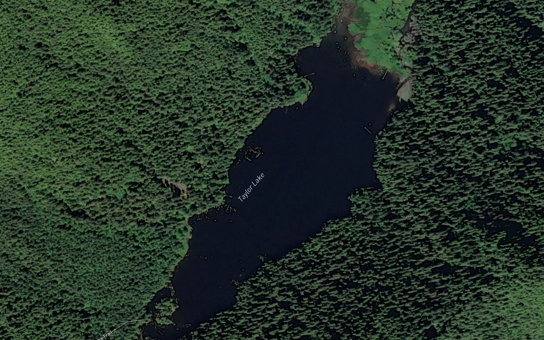 Satellite map of the Taylor Lake