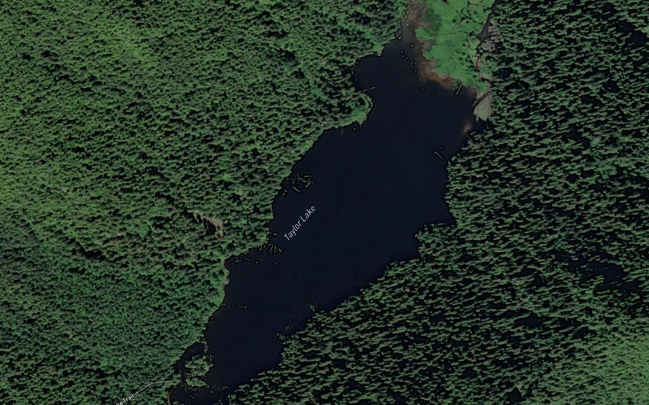 Taylor Lake