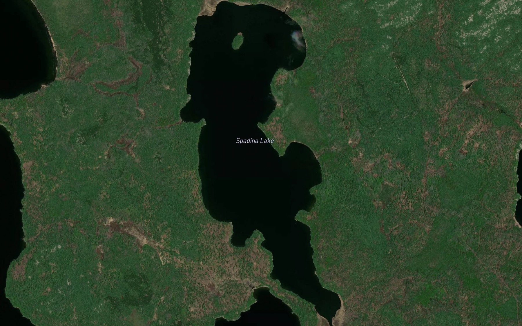 Satellite map of the Spadina Lake