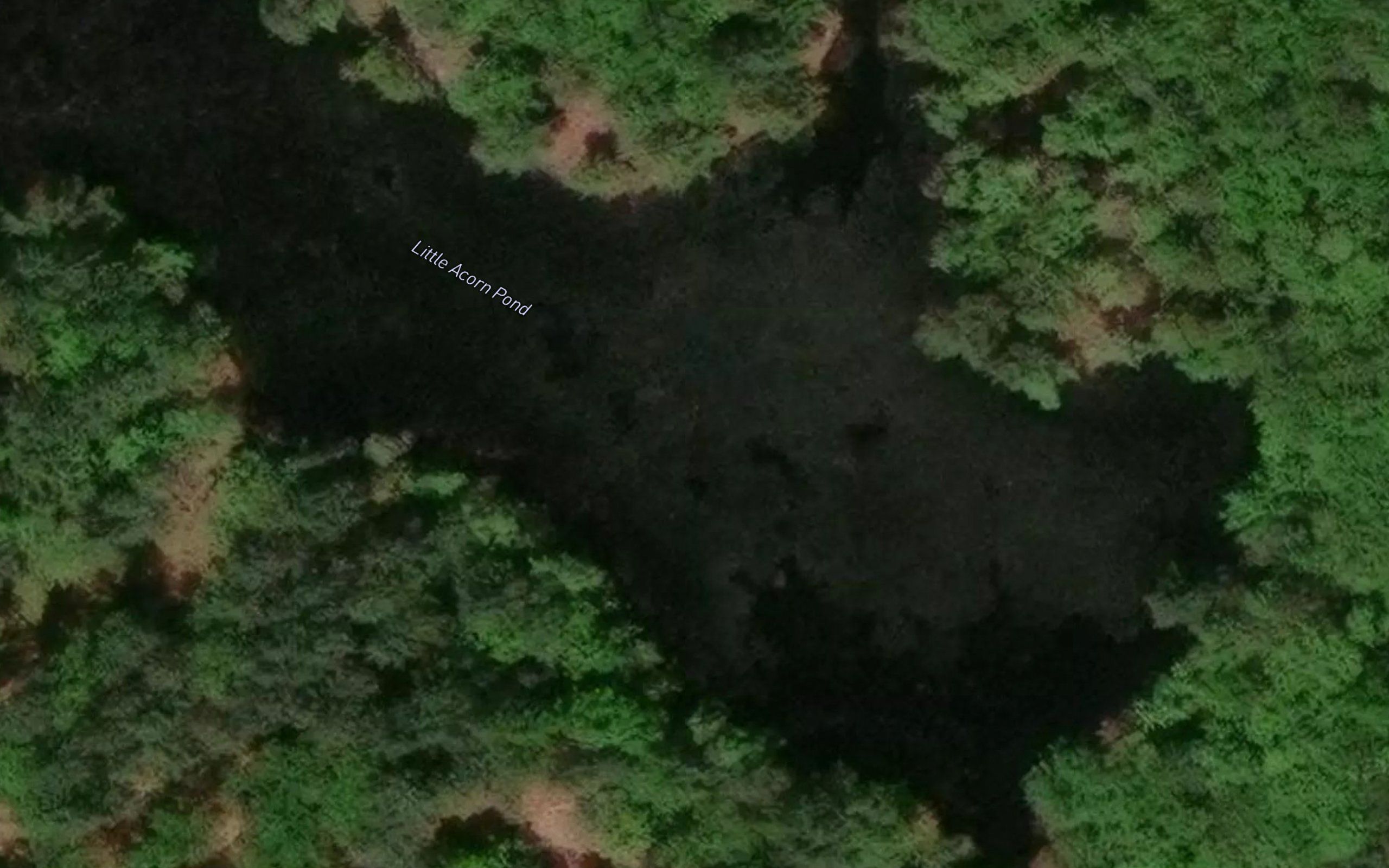 Little Acorn Pond