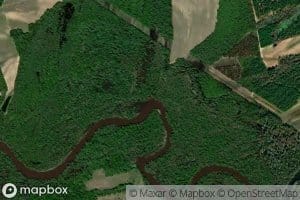 Whitelace Creek