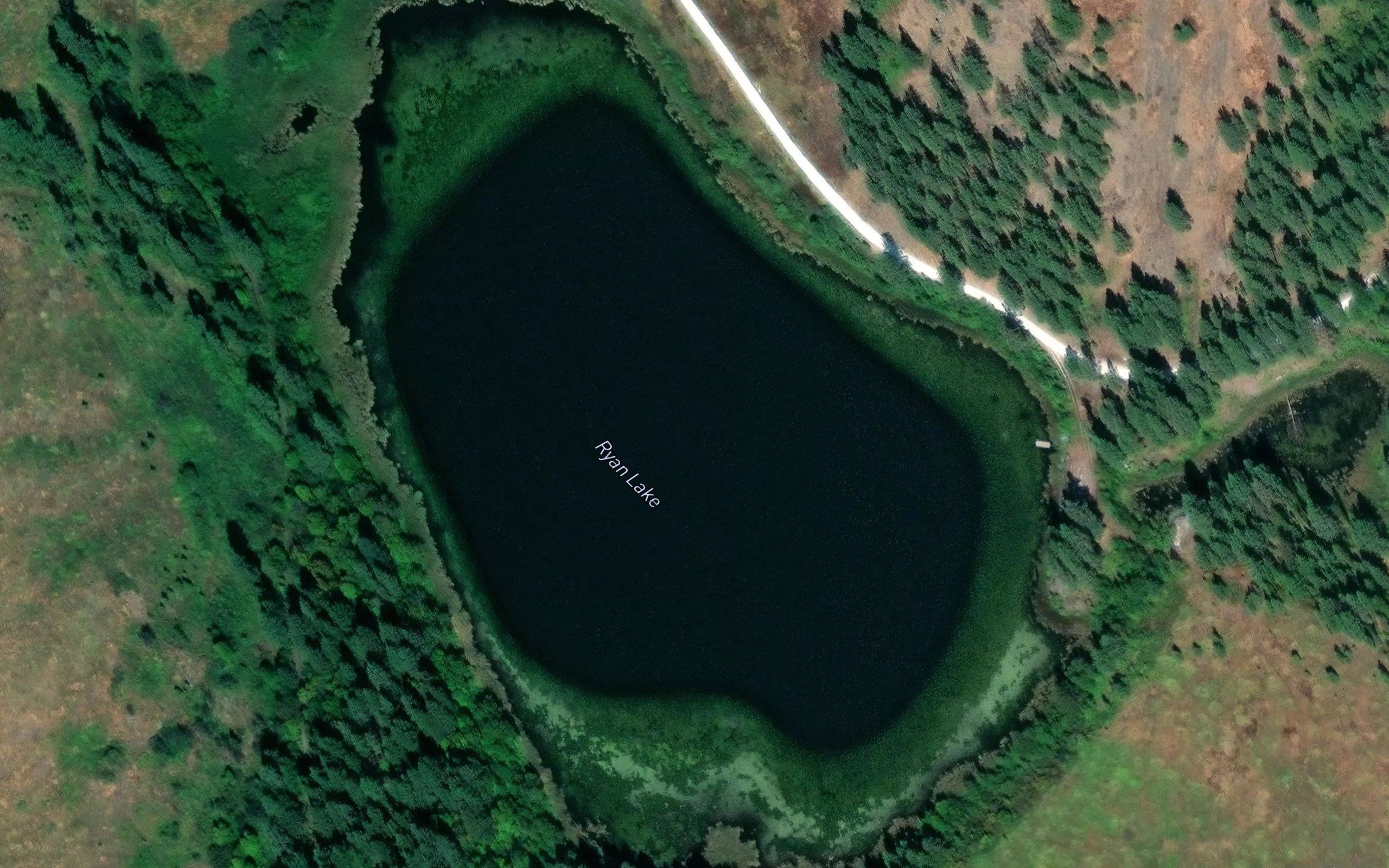Ryan Lake