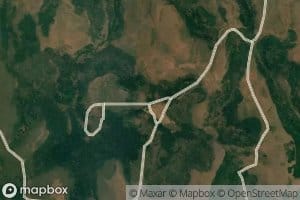 Basin Patch Spring