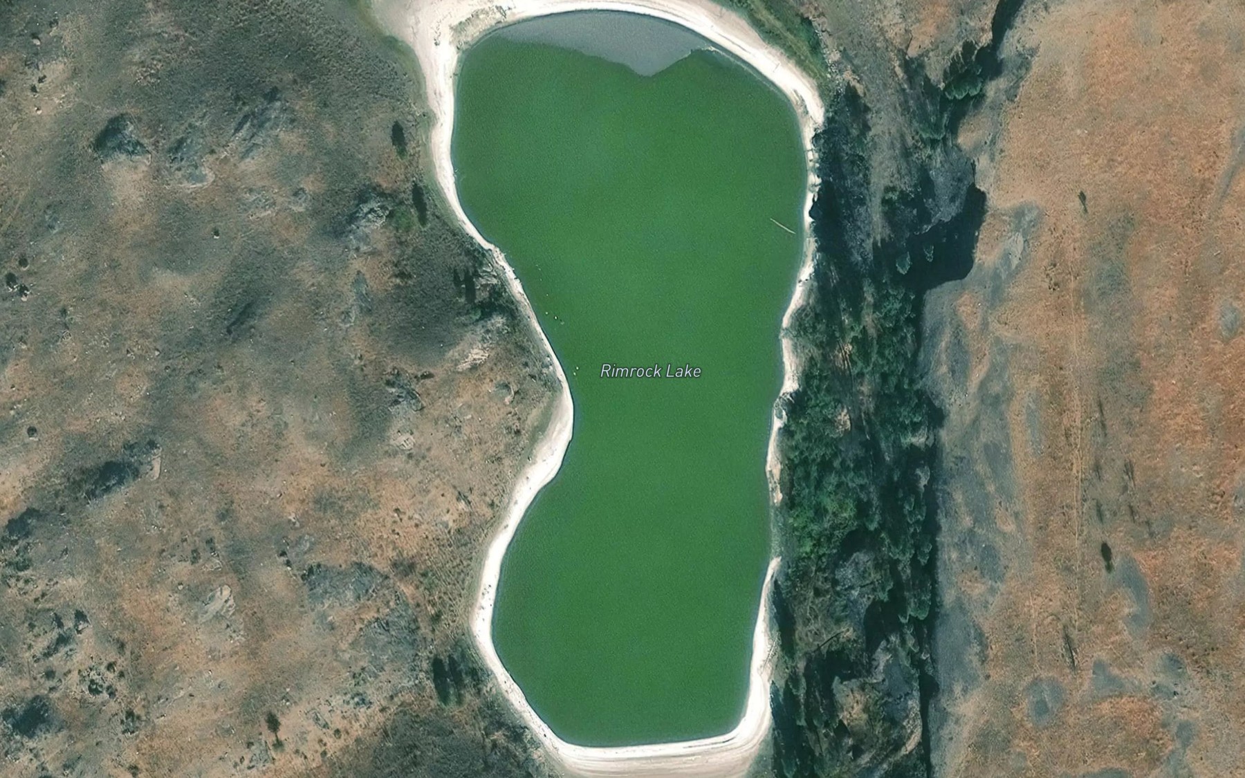 Satellite map of the Rimrock Lake