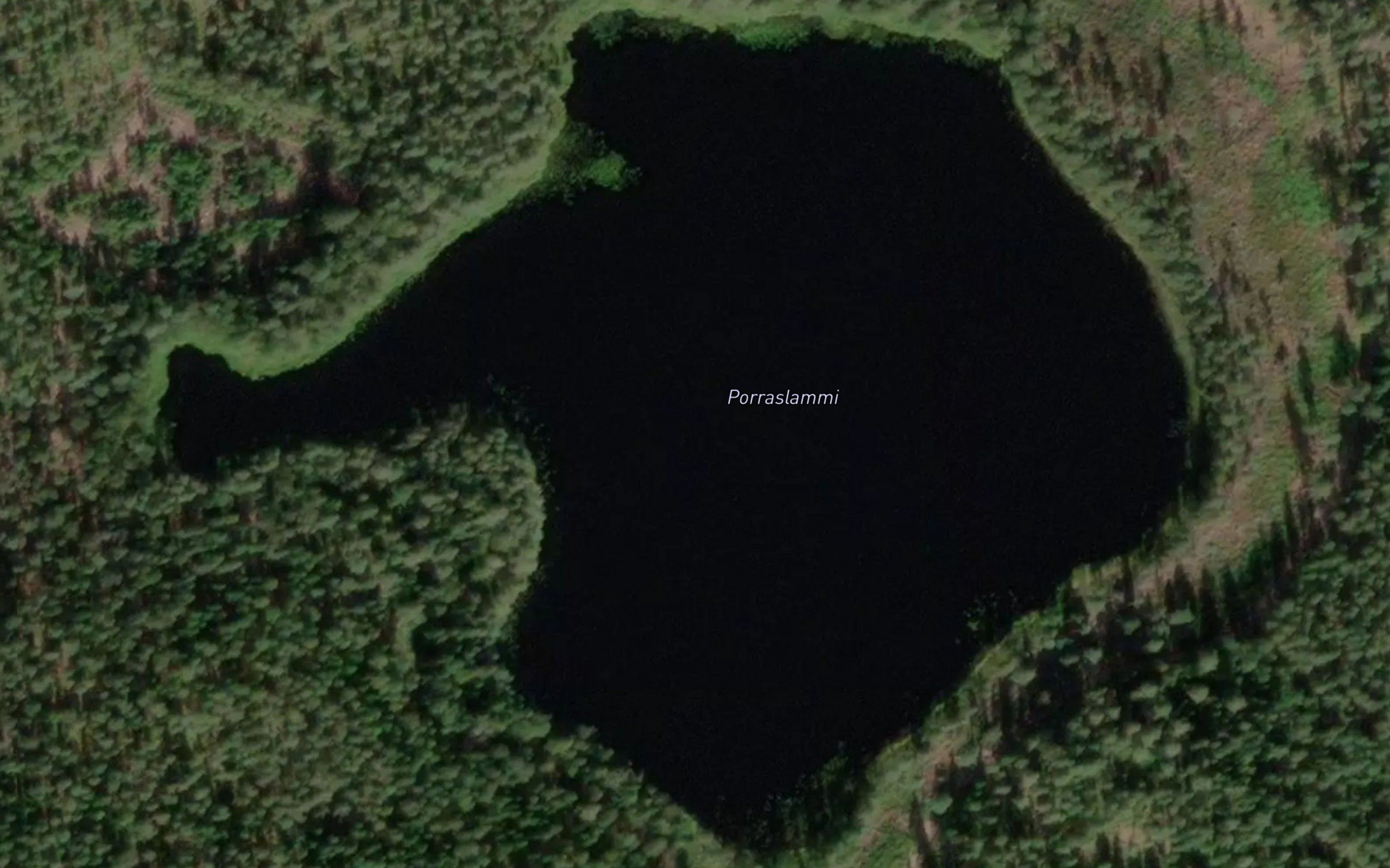 Porraslammi