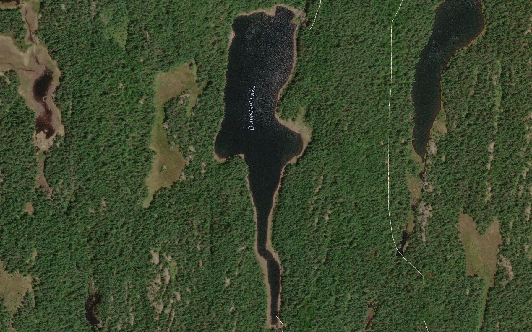 Satellite map of the Bonesteel Lake
