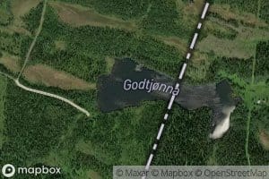 Godtjorna