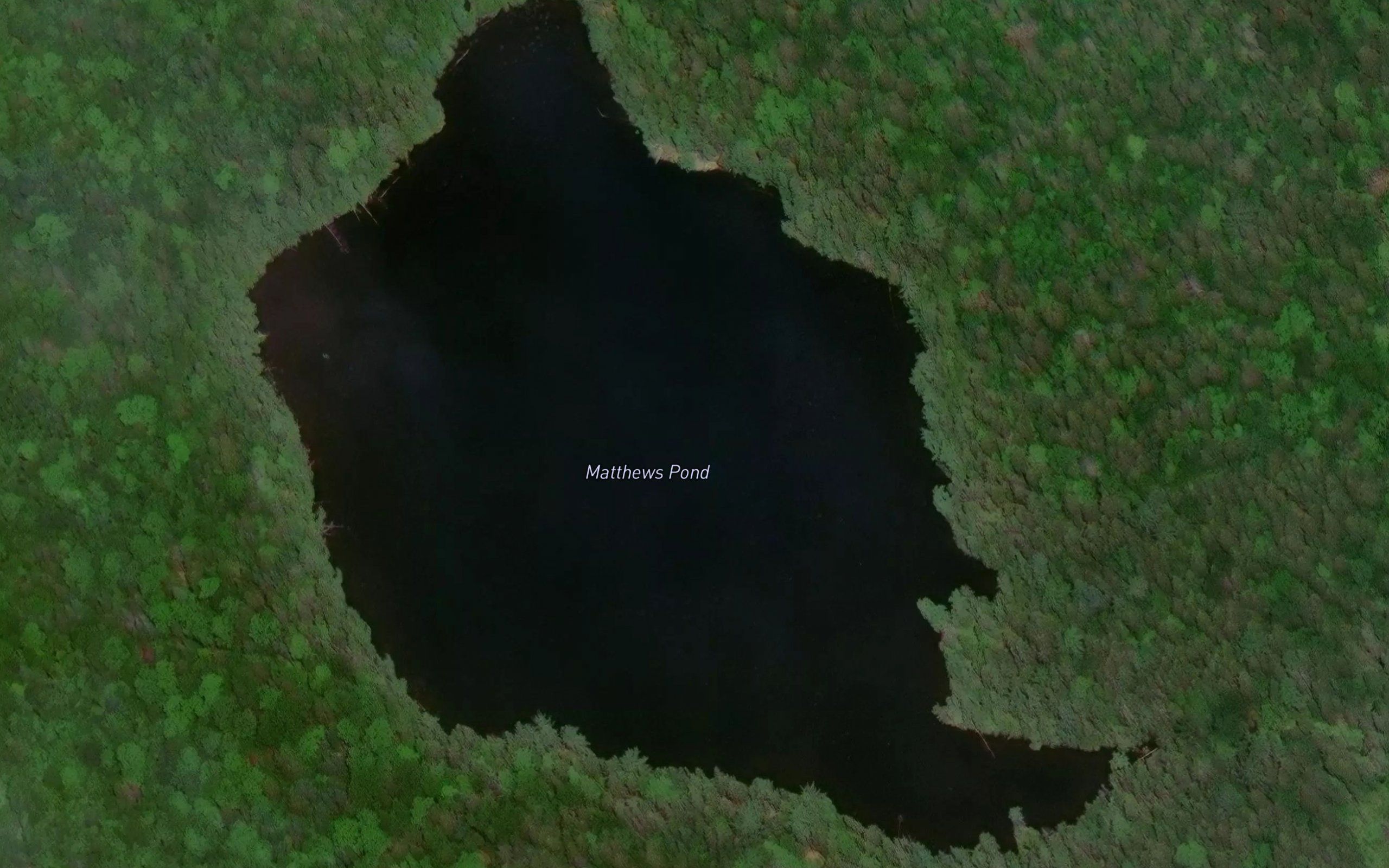 Matthews Pond