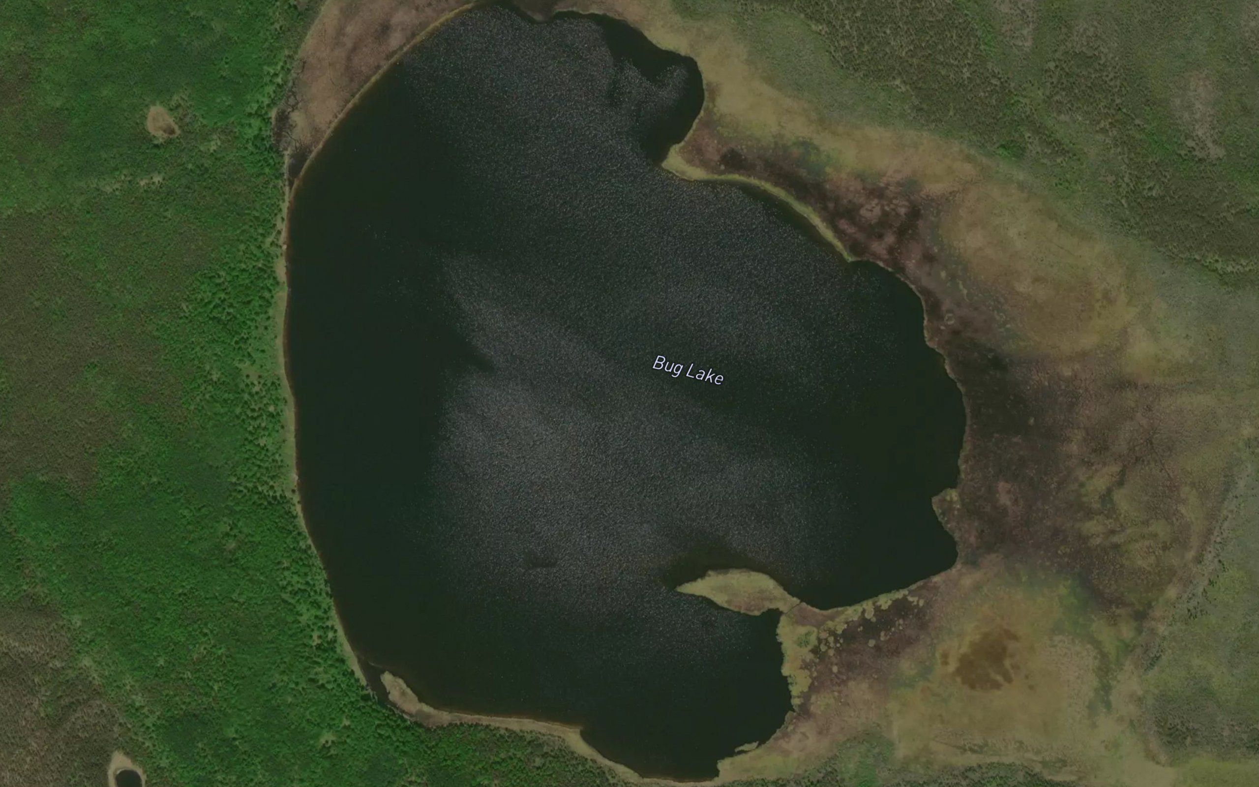 Bug Lake