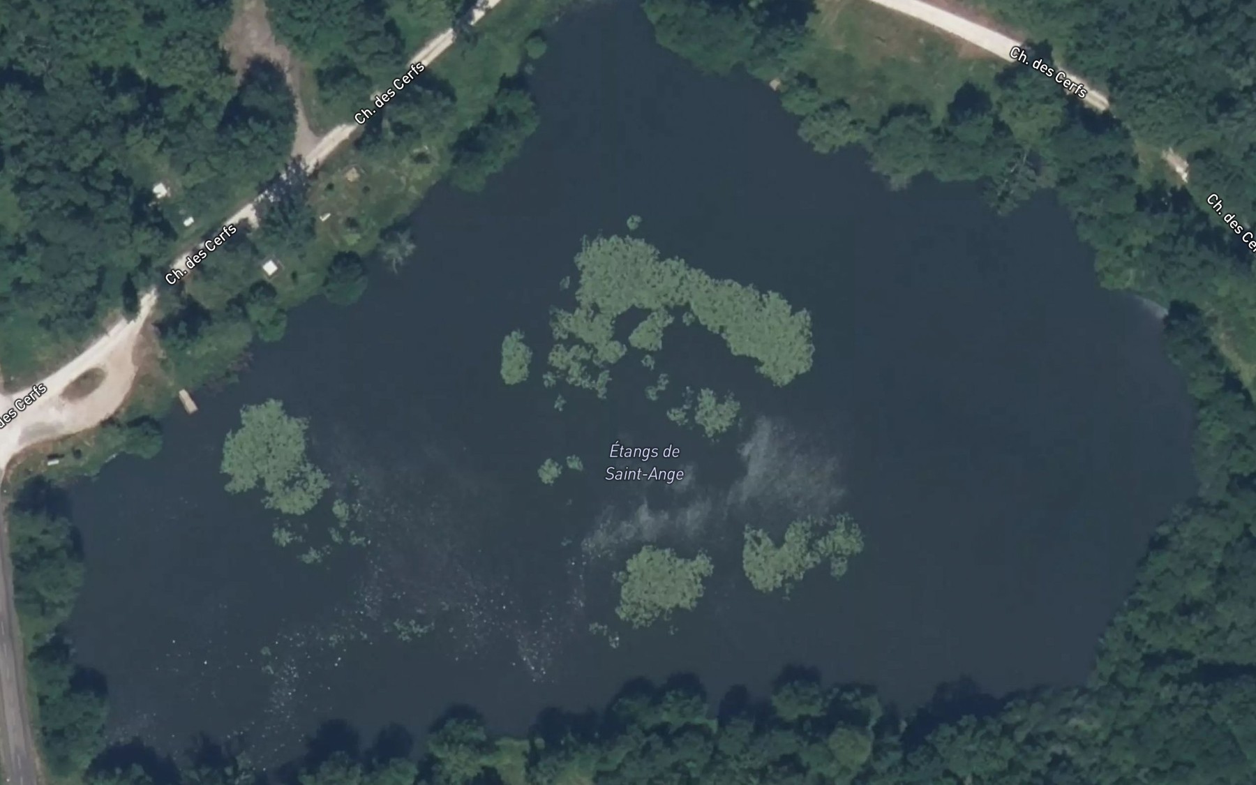 Satellite map of the Etangs Saint-Ange