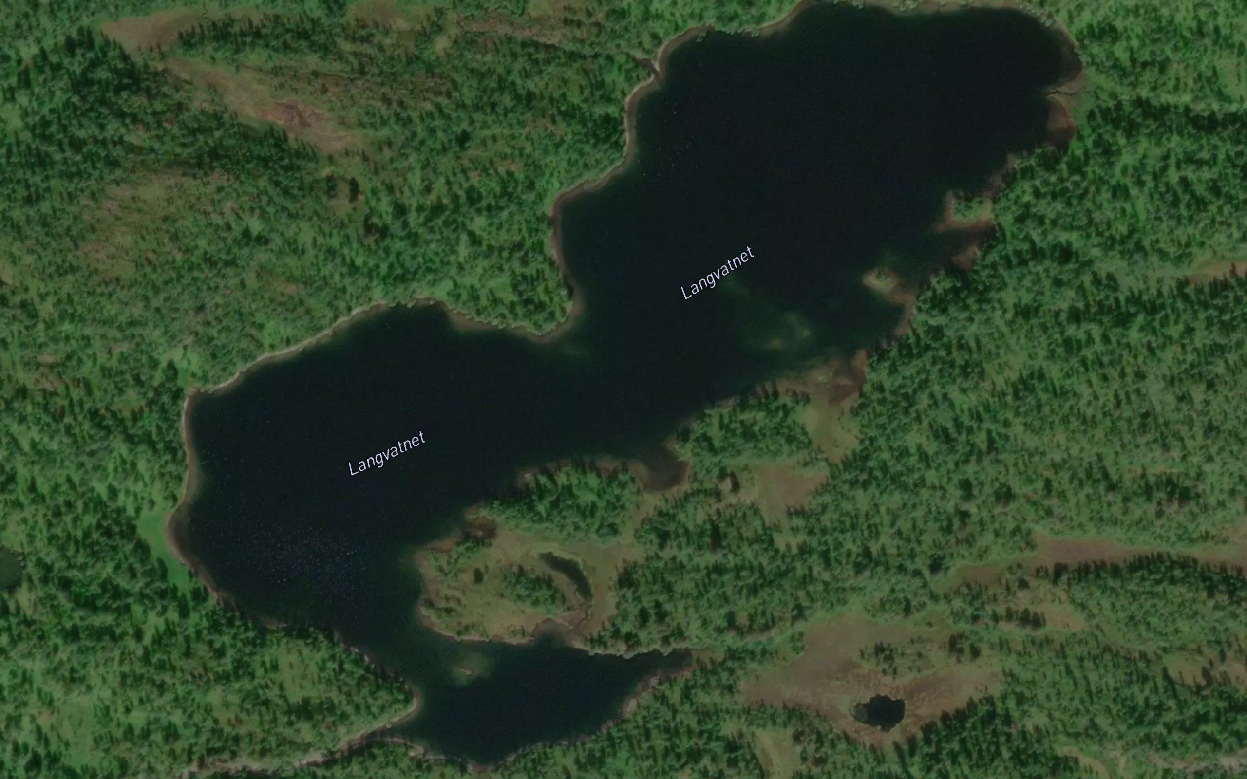 Langvatnet