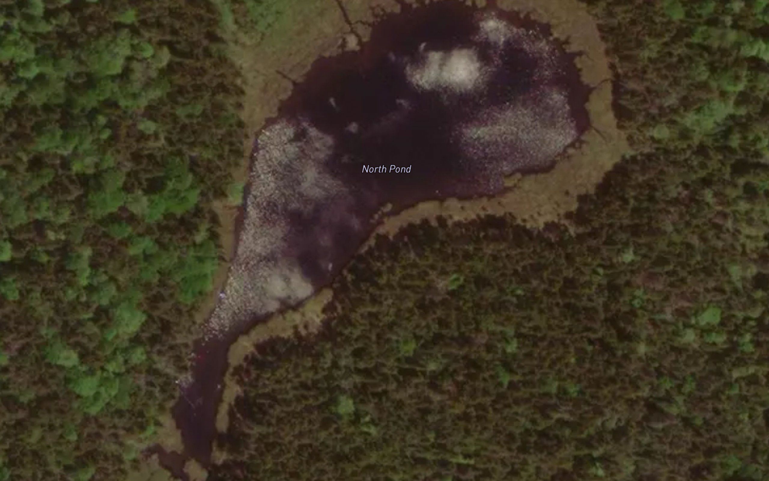 North Pond