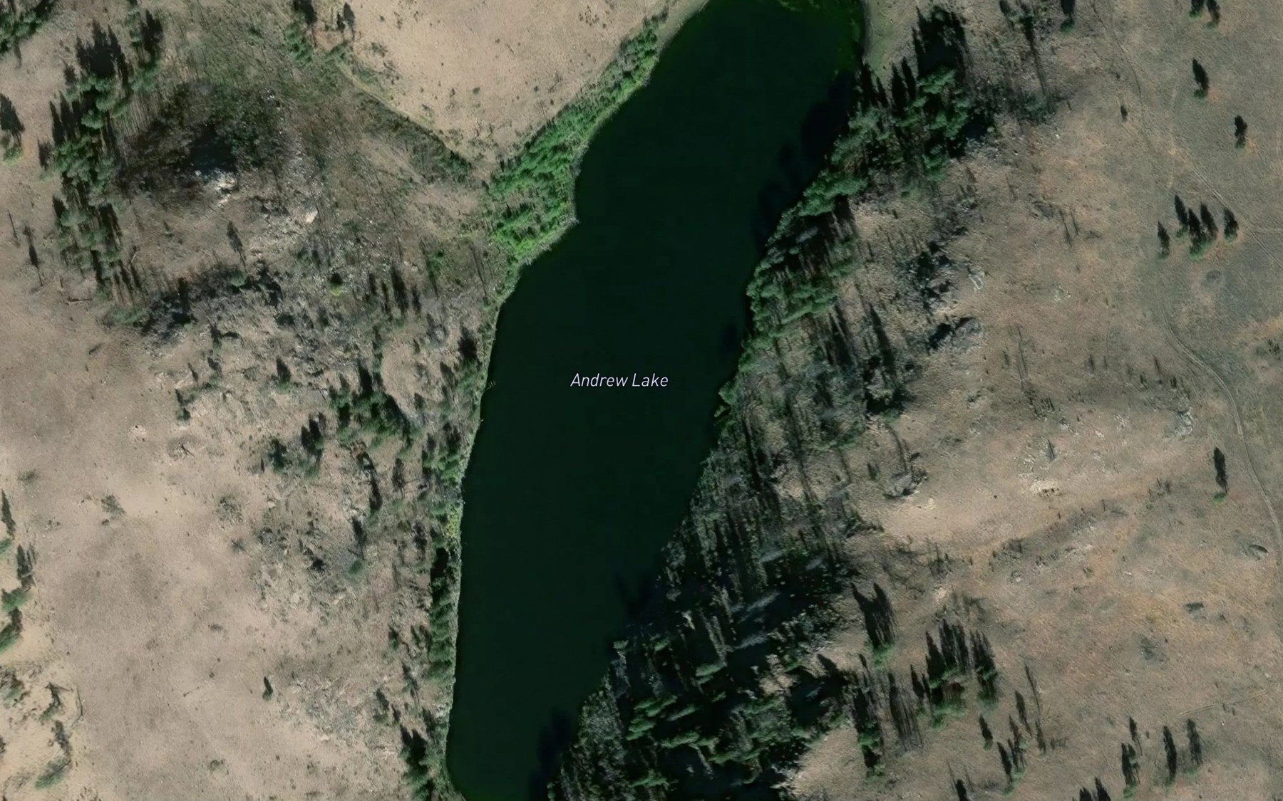 Satellite map of the Andrew Lake