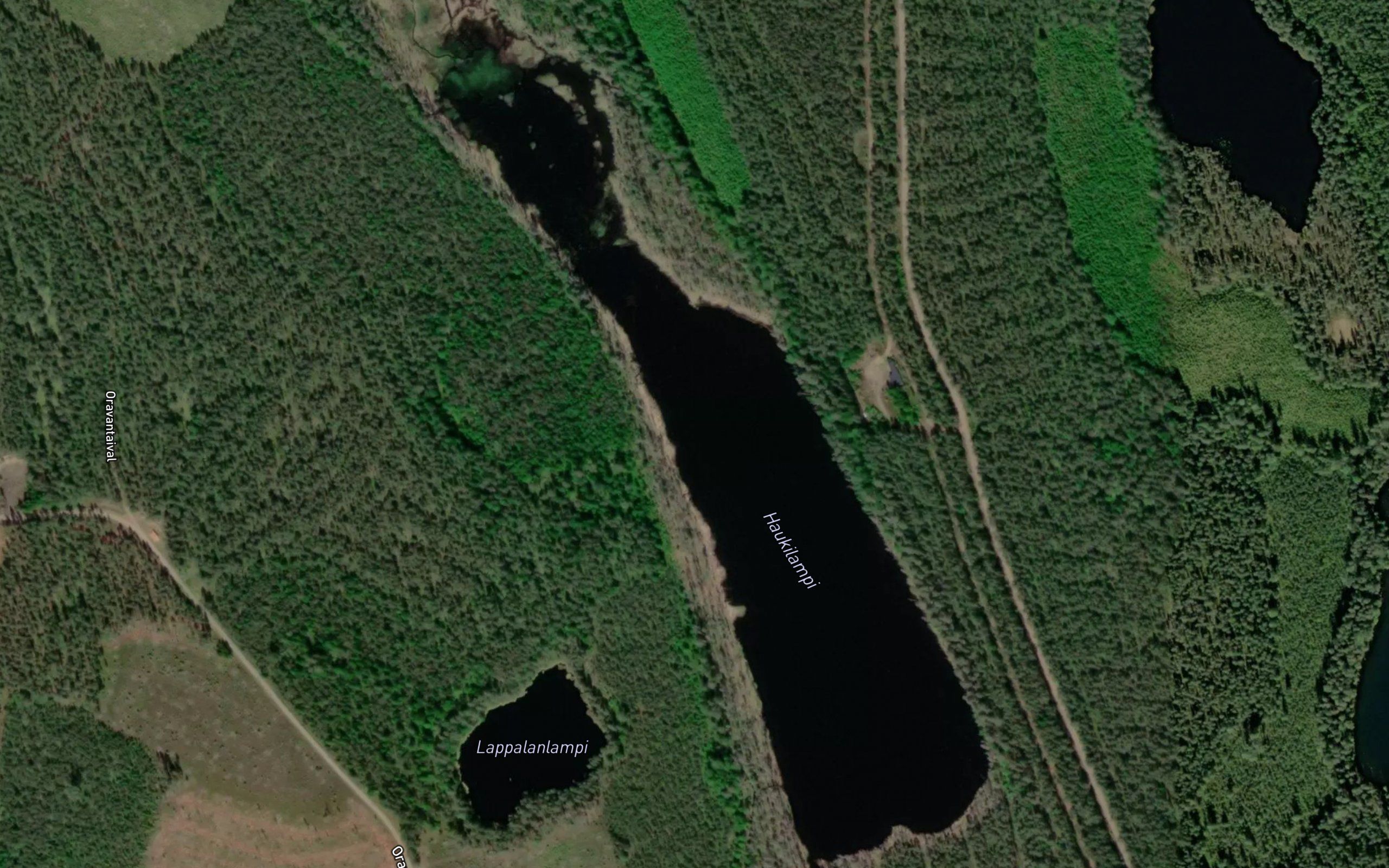 Haukilampi