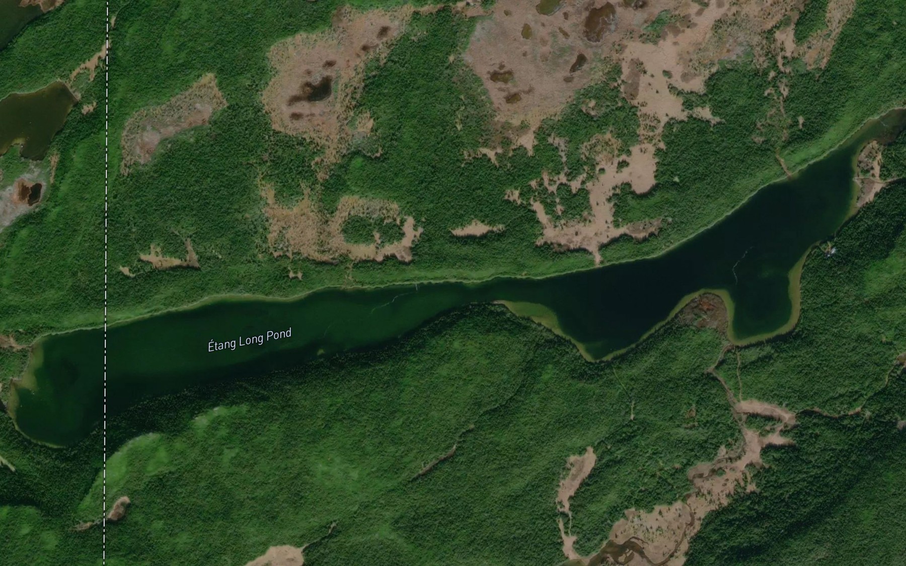Satellite map of the Etang Long Pond