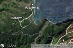 Kawili