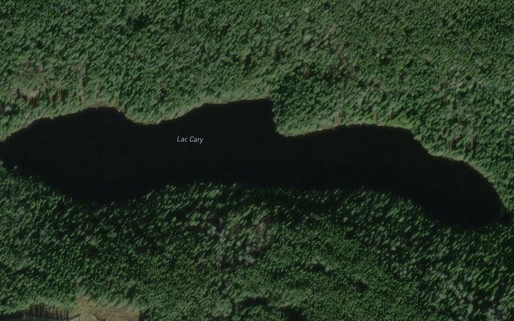 Satellite map of the Lac Cary