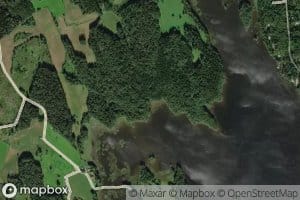 Kaivannonniitynoja