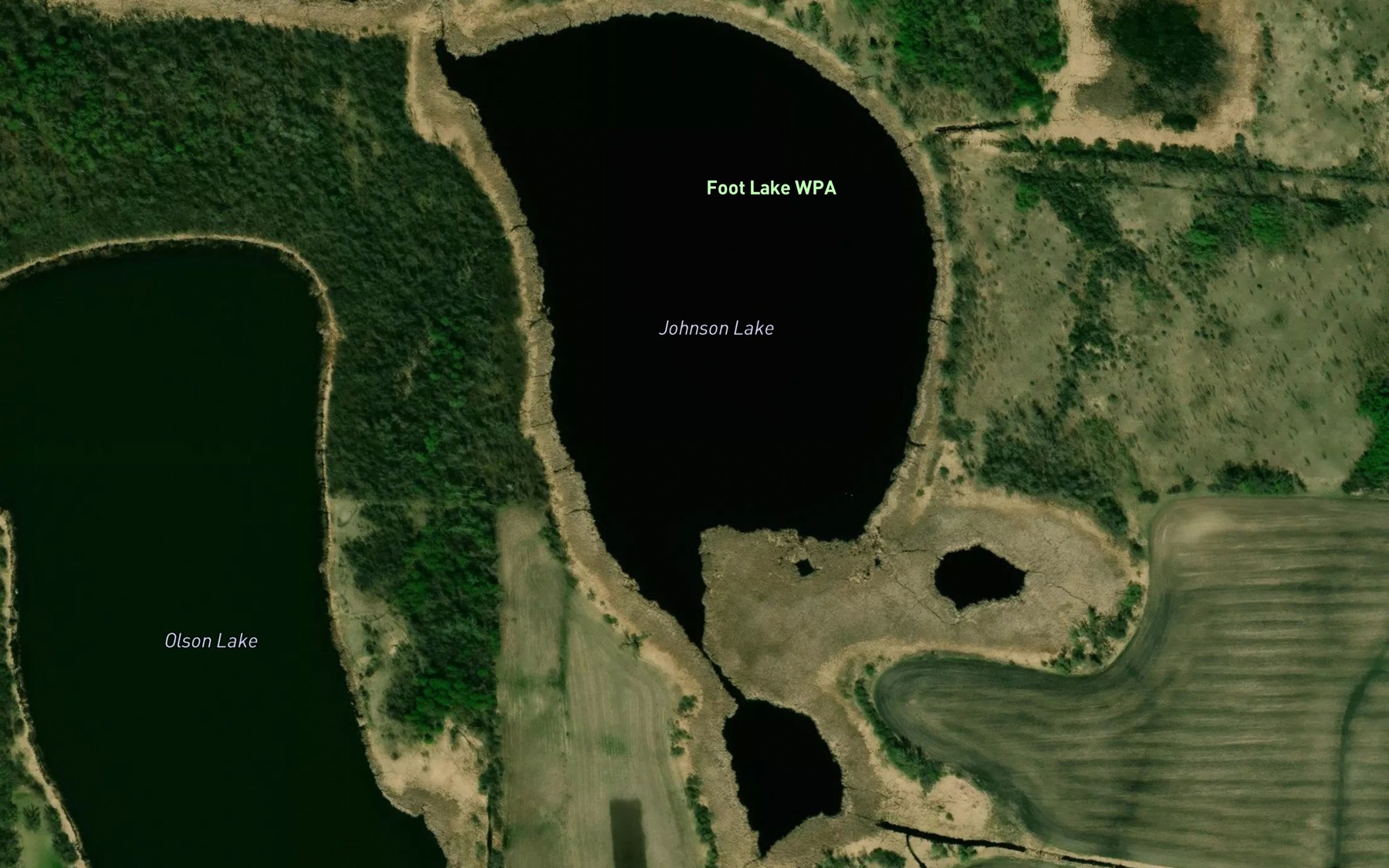 Satellite map of the Johnson Lake